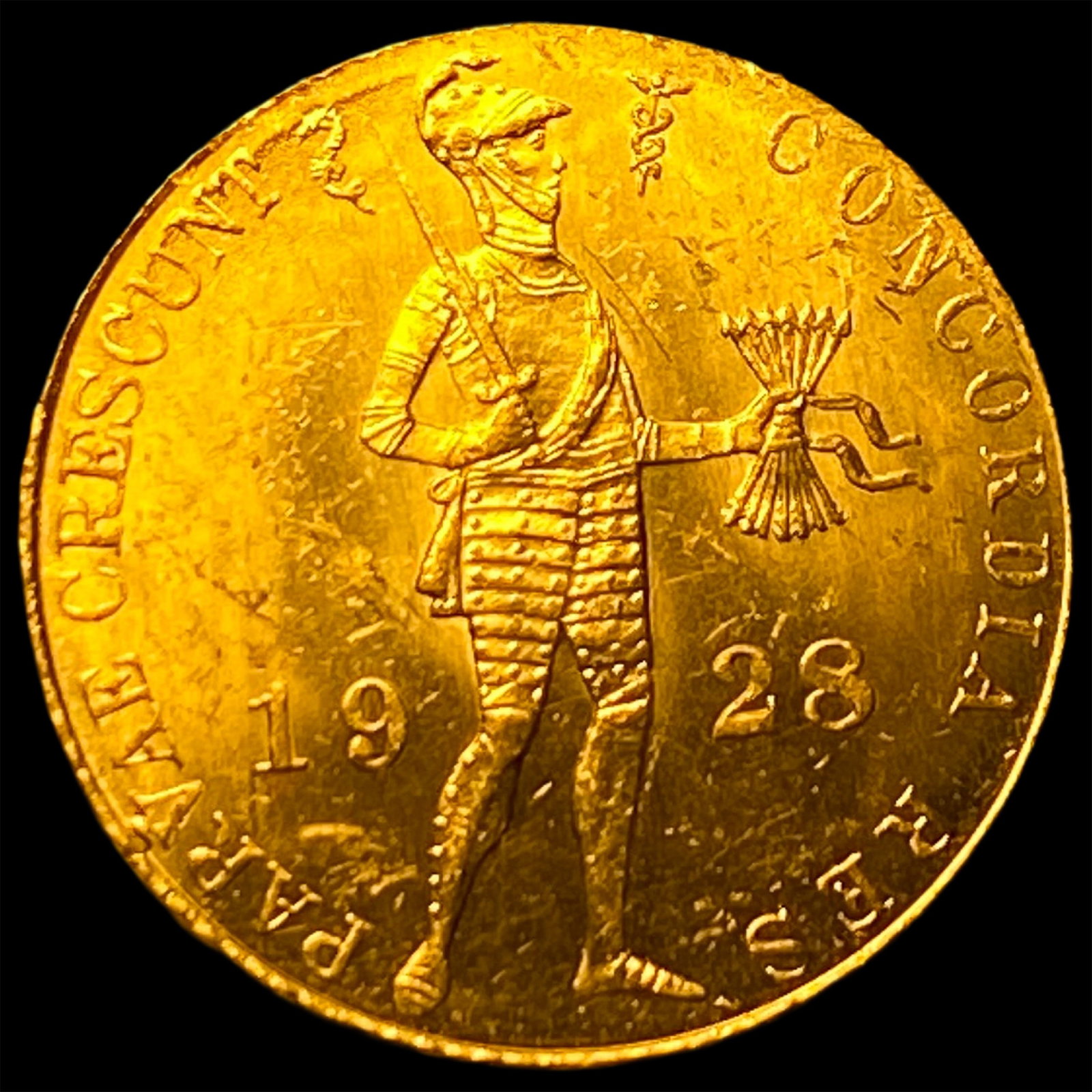 1928 Netherlands Gold Ducat .1104oz UNCIRCULATED: 1928 Netherlands Gold Ducat .1104oz UNCIRCULATED