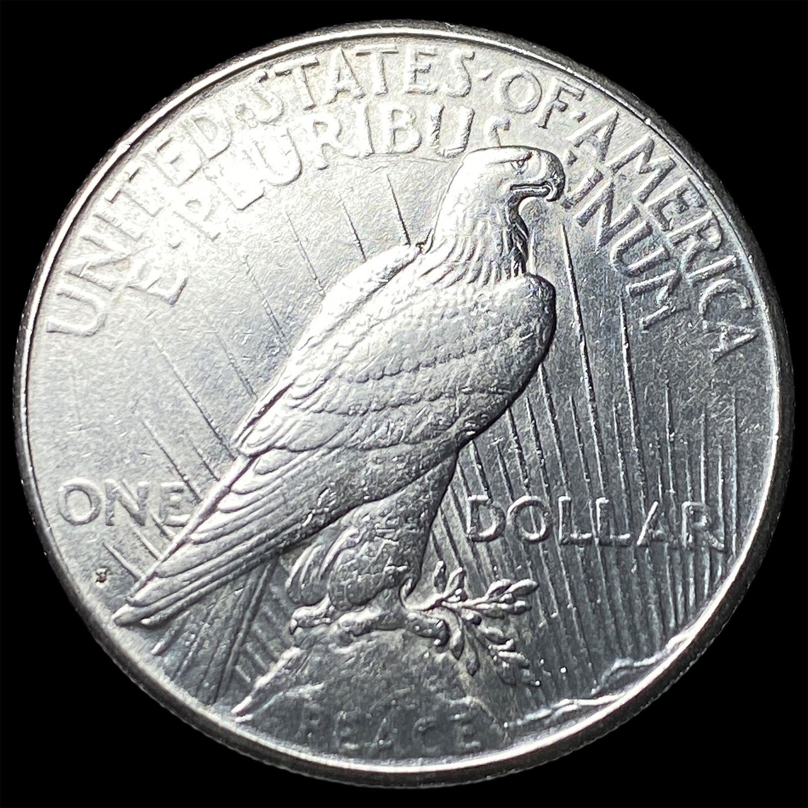 1925 Silver Peace Dollar CLOSELY UNCIRCULATED - 2