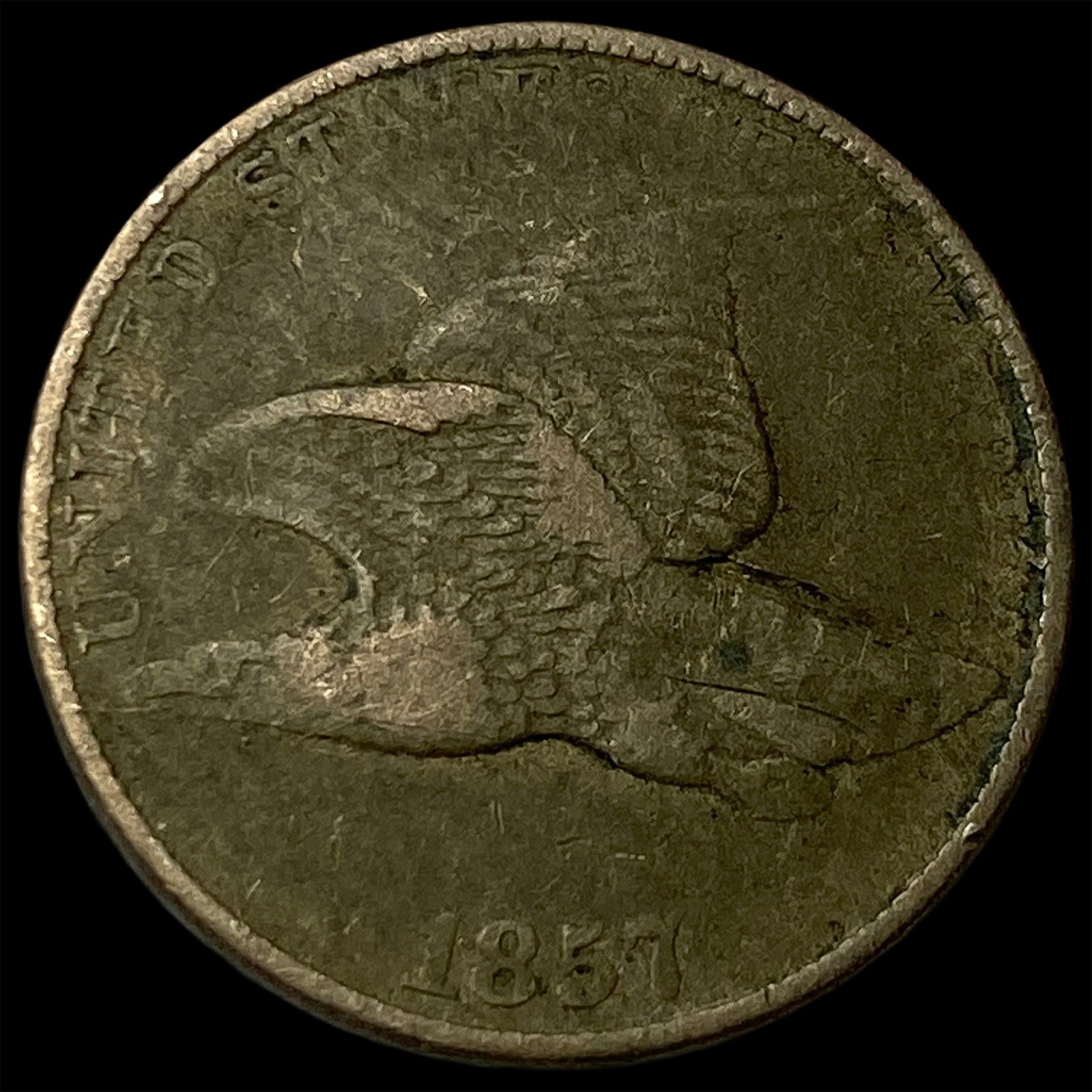 1857 Flying Eagle Cent LIGHTLY CIRCULATED: 1857 Flying Eagle Cent LIGHTLY CIRCULATED