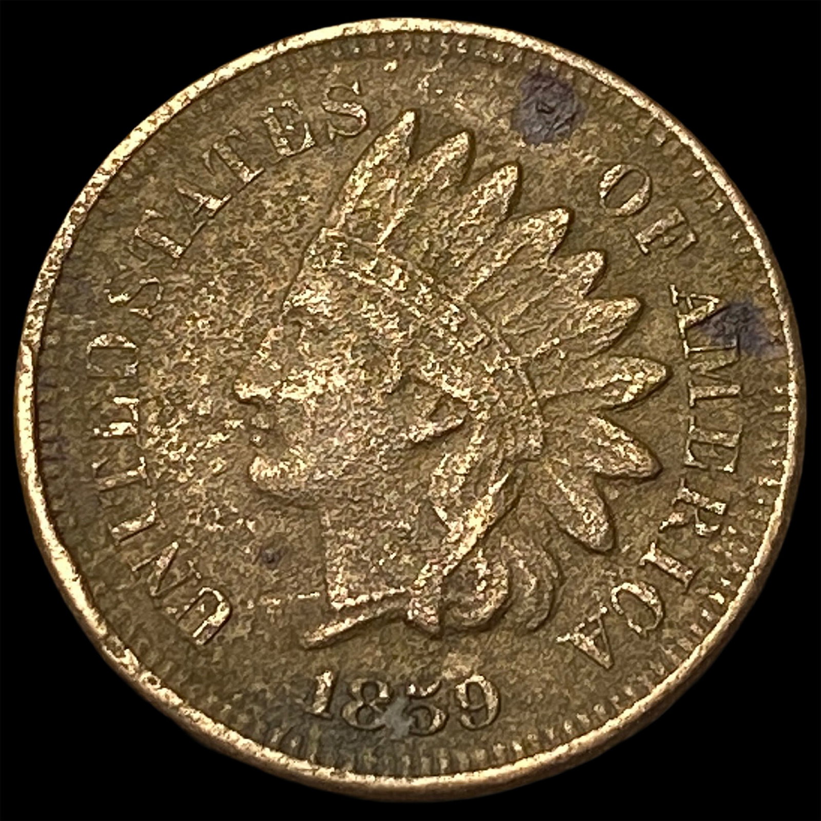 1859 Indian Head Cent NEARLY UNCIRCULATED: 1859 Indian Head Cent NEARLY UNCIRCULATED