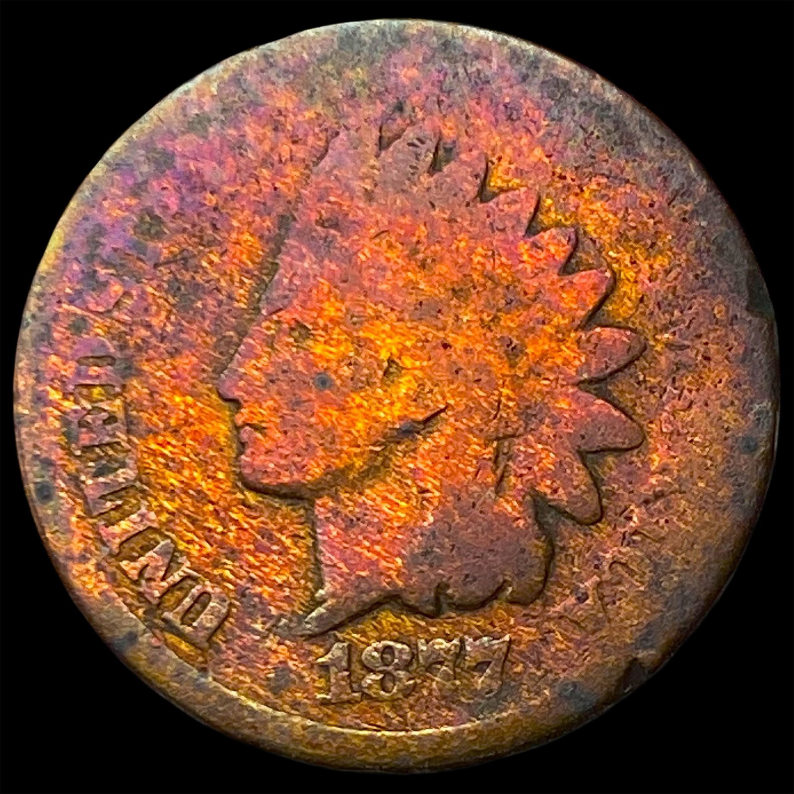 1877 Indian Head Cent HIGH GRADE (1 of 2)