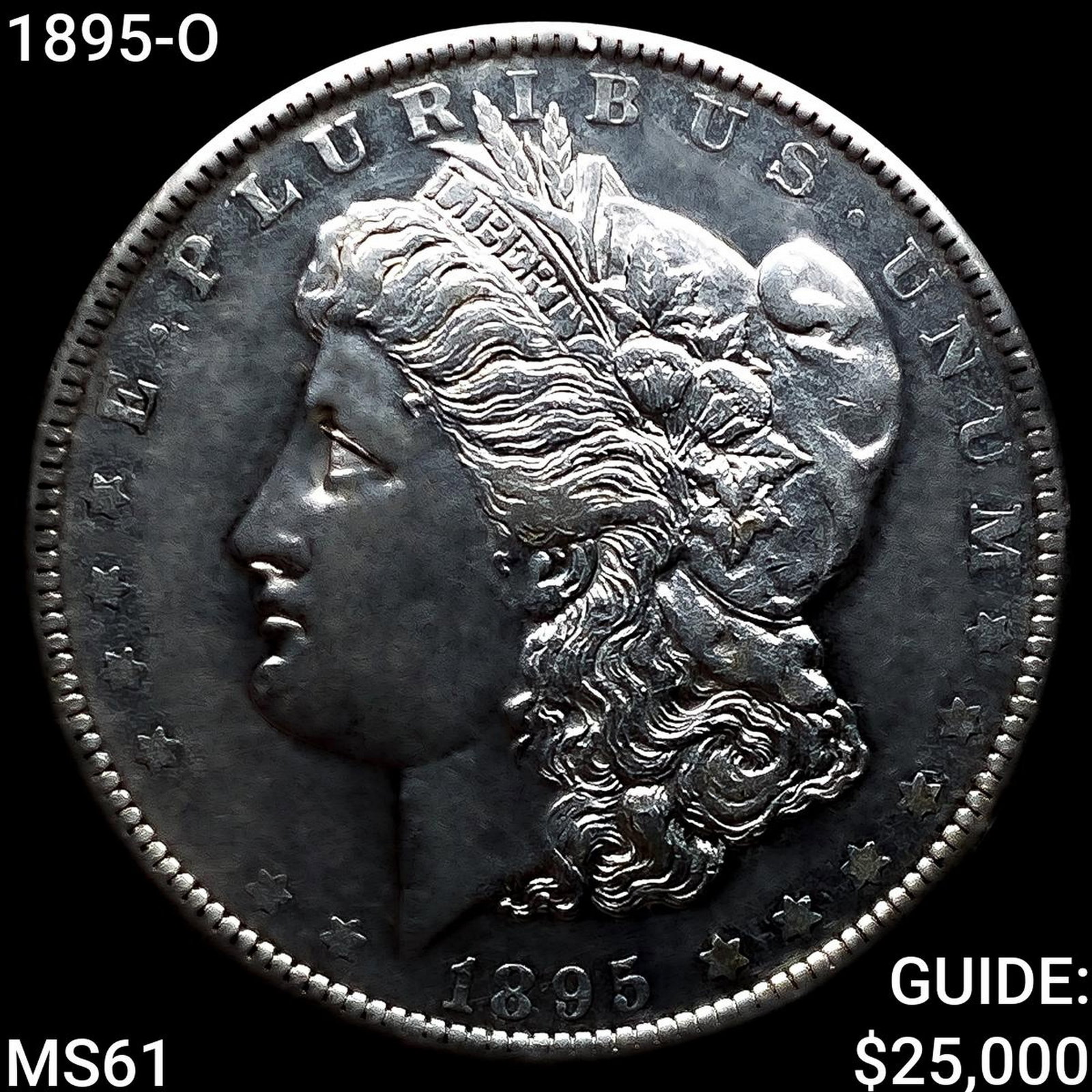 1895-O Morgan Silver Dollar (1 of 2)