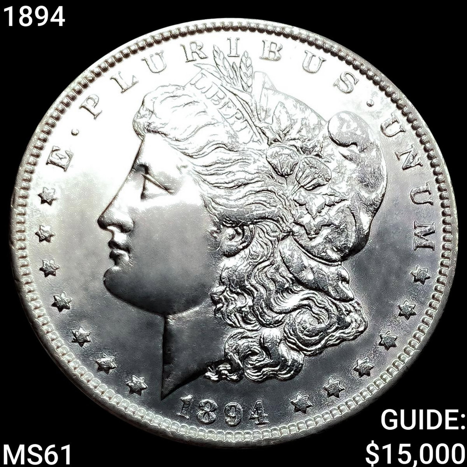 1894 Morgan Silver Dollar (1 of 2)