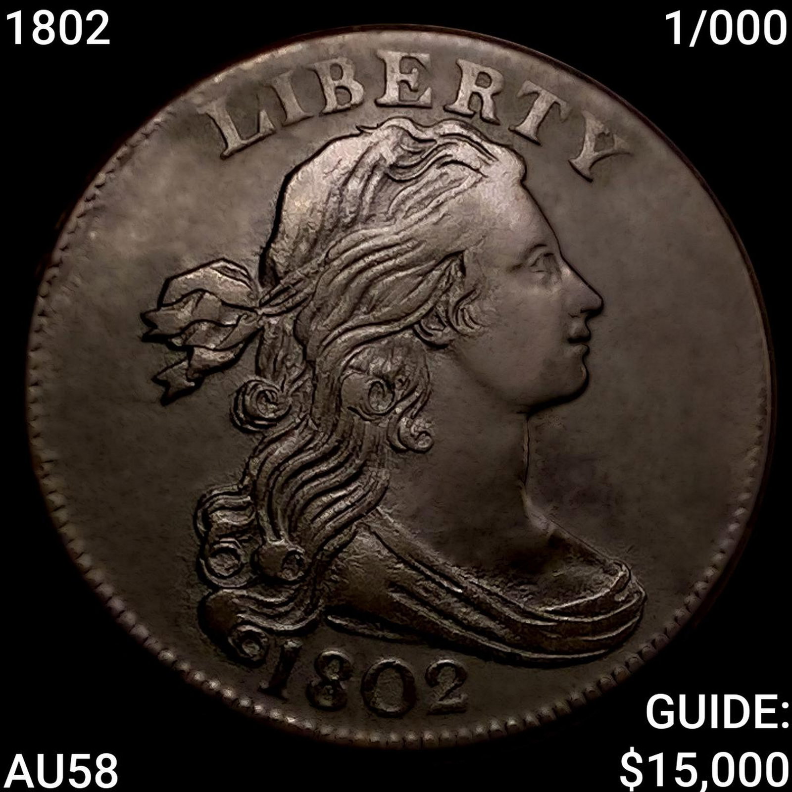 1802 1/000 Draped Bust Large Cent: 1802 1/000 Draped Bust Large Cent