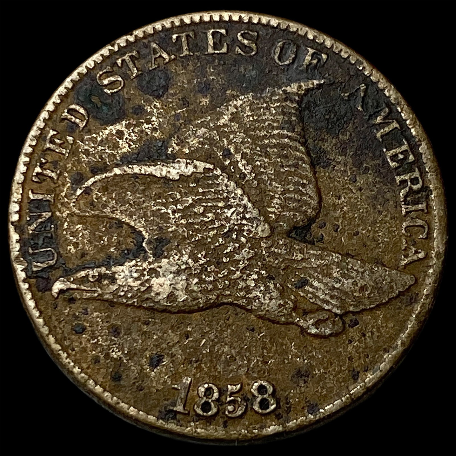1858 Flying Eagle Cent NEARLY UNCIRCULATED: 1858 Flying Eagle Cent NEARLY UNCIRCULATED