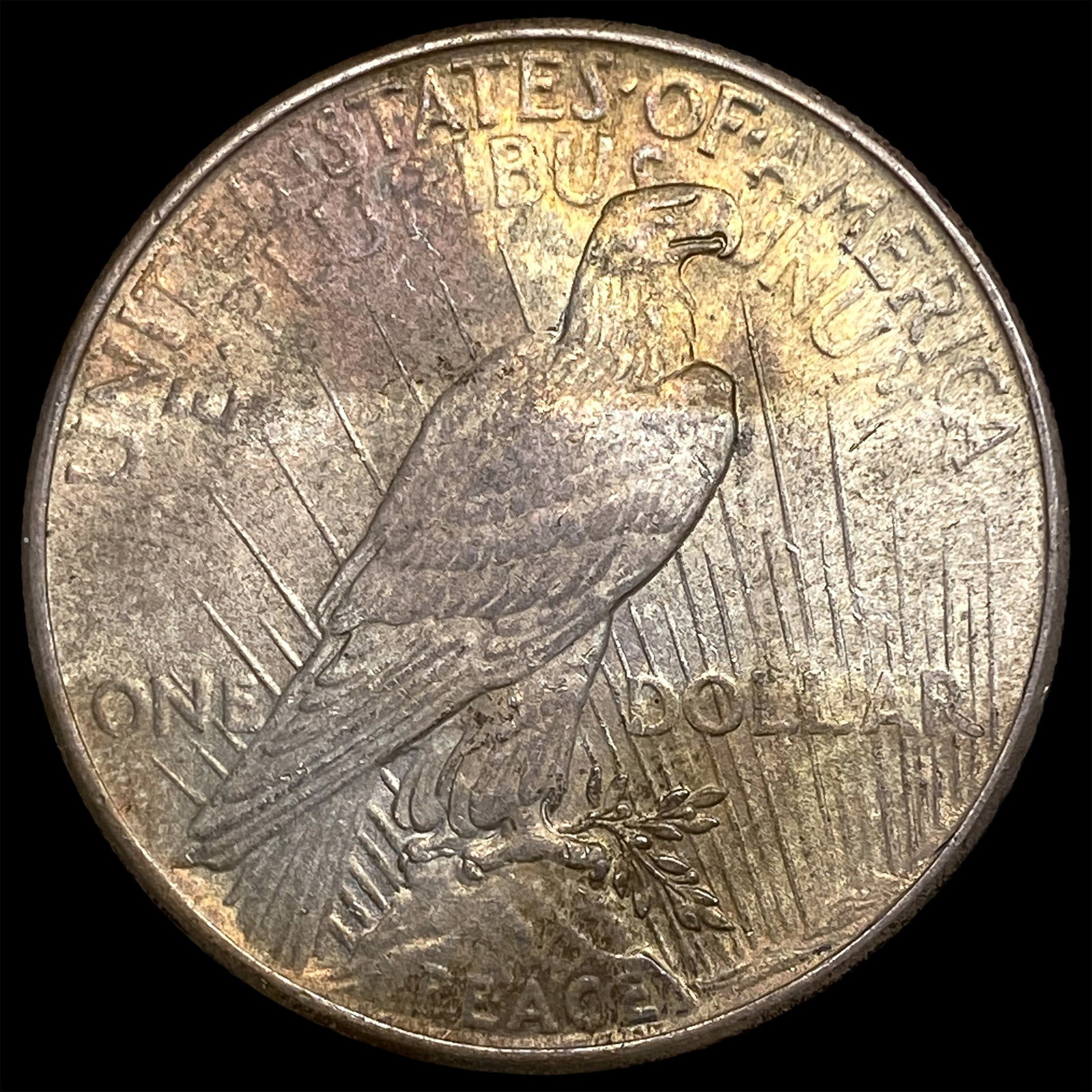1925 Peace Silver Dollar CLOSELY UNCIRCULATED - 2