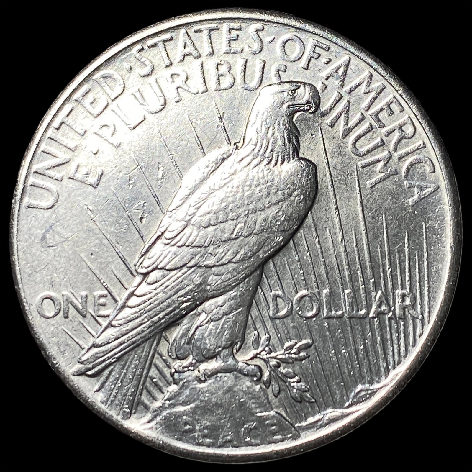 1925 Peace Silver Dollar CLOSELY UNCIRCULATED - 2