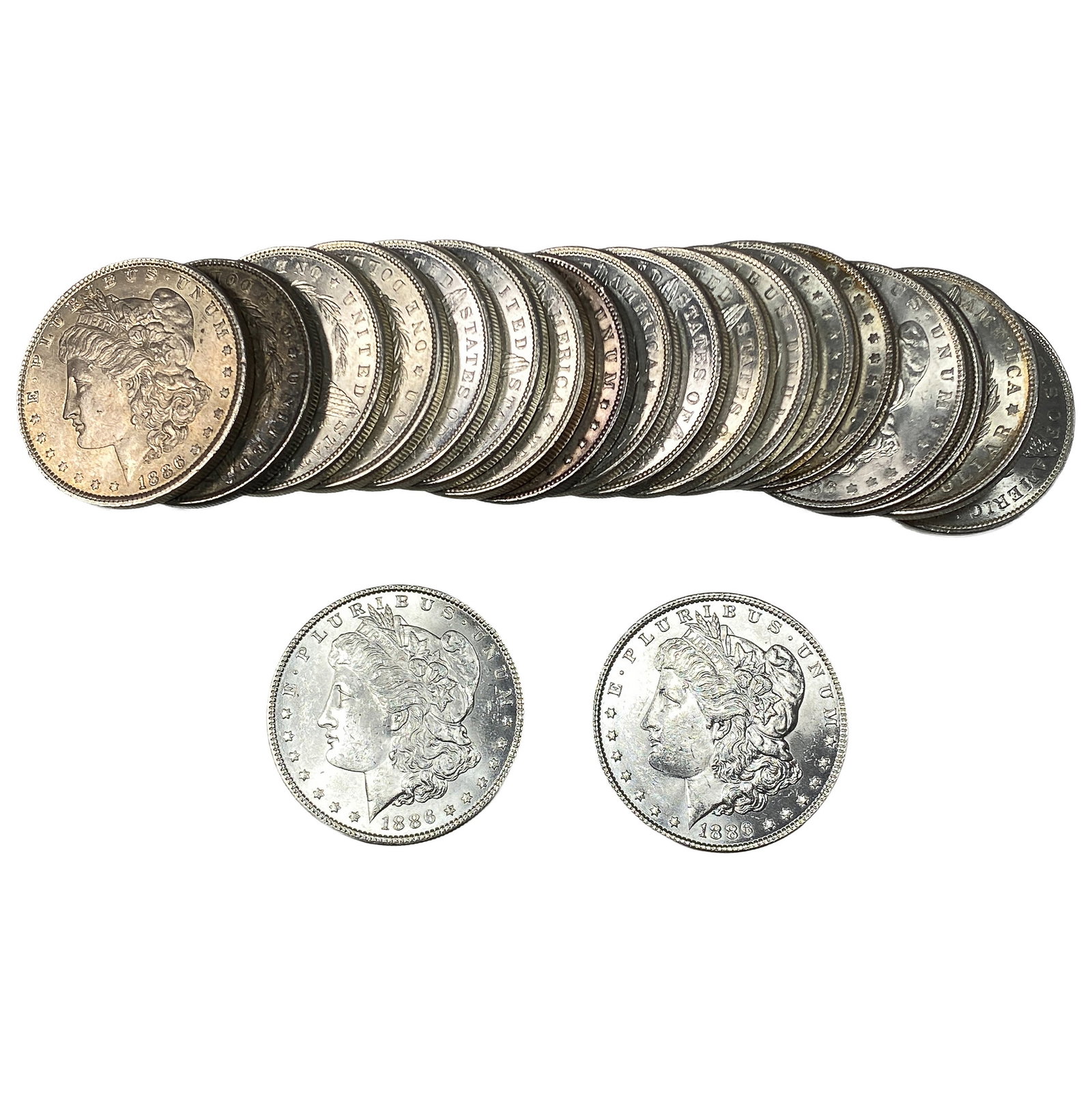 [20 Coins] Mixed Dates Morgan Silver Dollar: [20 Coins] Mixed Dates Morgan Silver Dollar