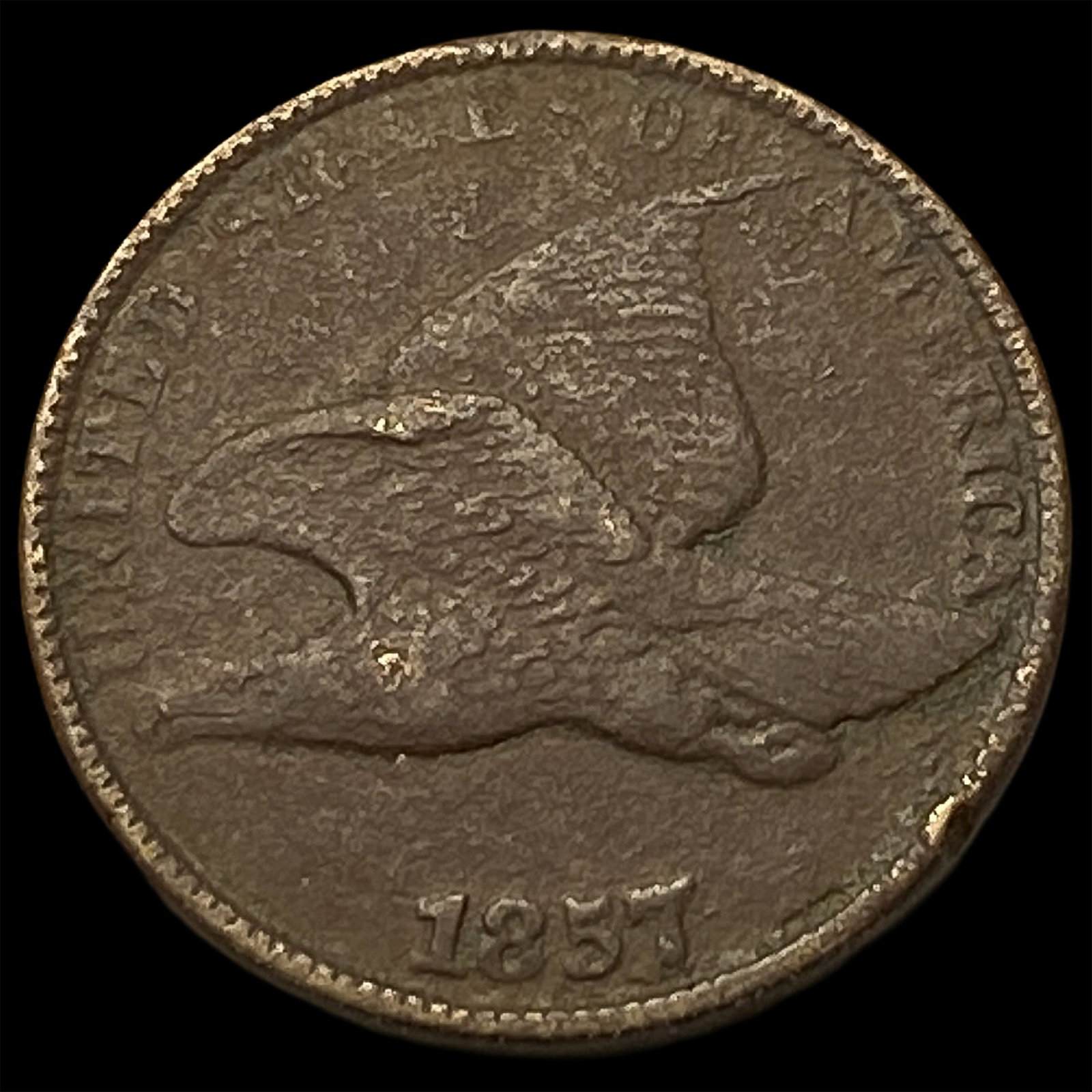 1857 Flying Eagle Cent LIGHTLY CIRCULATED: 1857 Flying Eagle Cent LIGHTLY CIRCULATED