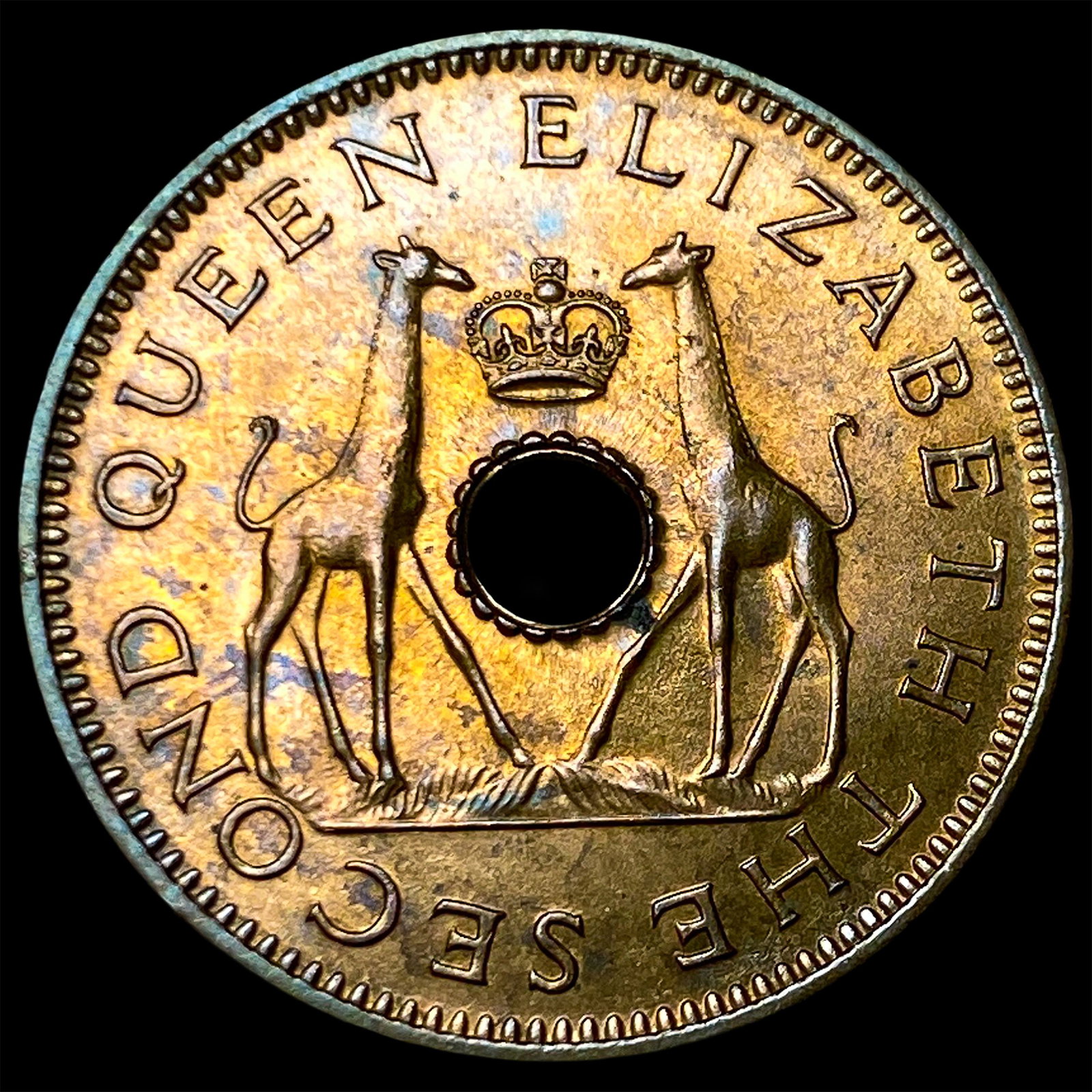 1957 Rhodesia & Nyasaland Bronze 1/2 Penny: 1957 Rhodesia & Nyasaland Bronze 1/2 Penny