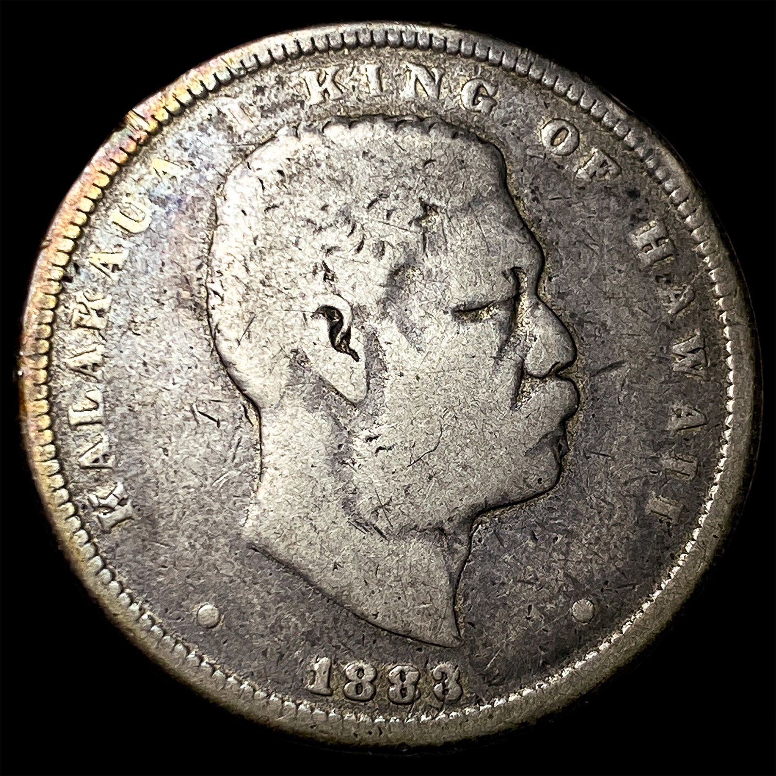 1883 Hawaii Silver 1/2 Dollar LIGHTLY CIRCULATED: 1883 Hawaii Silver 1/2 Dollar LIGHTLY CIRCULATED