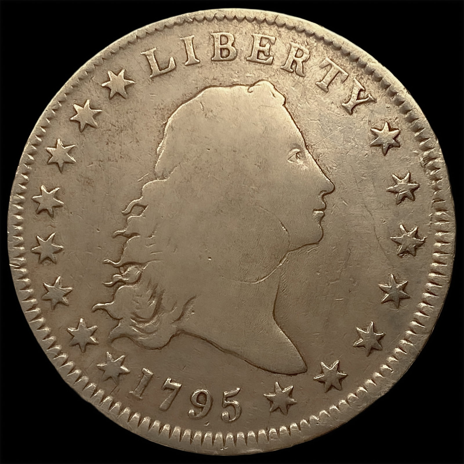 1795 2 Leaves Flowing Hair Dollar: 1795 2 Leaves Flowing Hair Dollar
