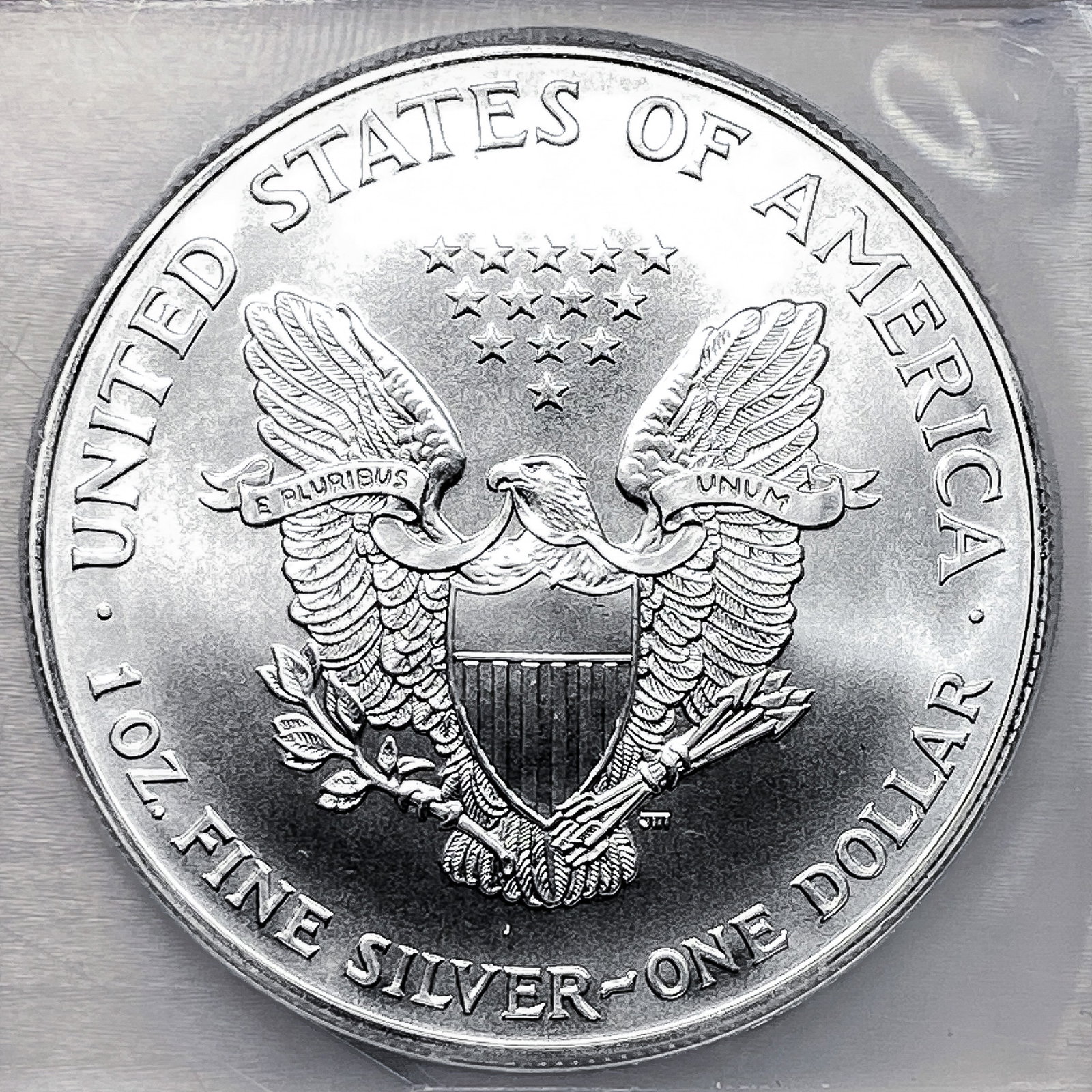1999 Silver Eagle ICG MS70 - 4
