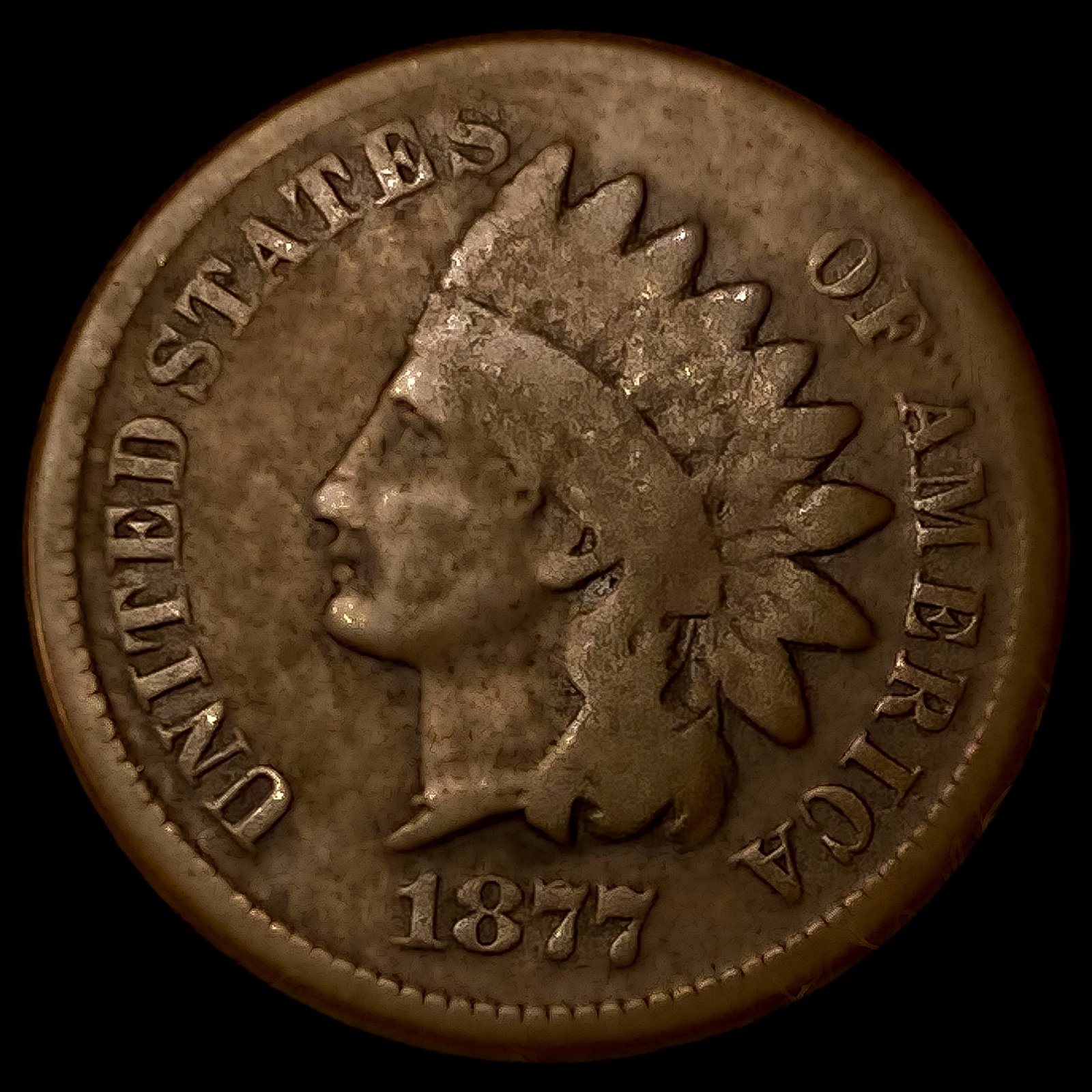 1877 Indian Head Cent: 1877 Indian Head Cent