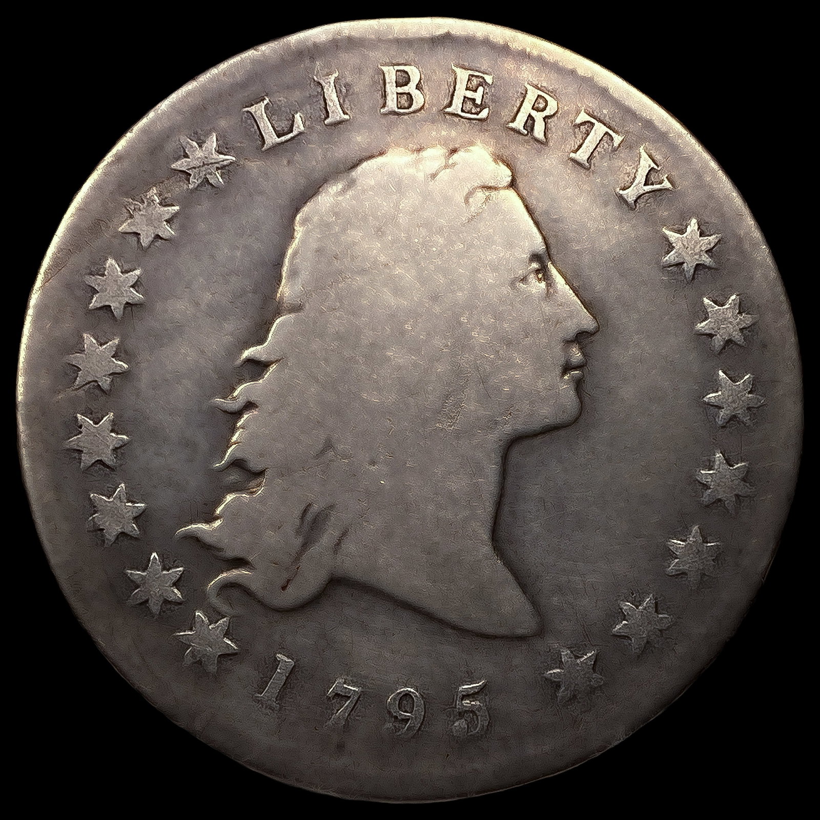 1795 2 Leaves Flowing Hair Dollar: 1795 2 Leaves Flowing Hair Dollar