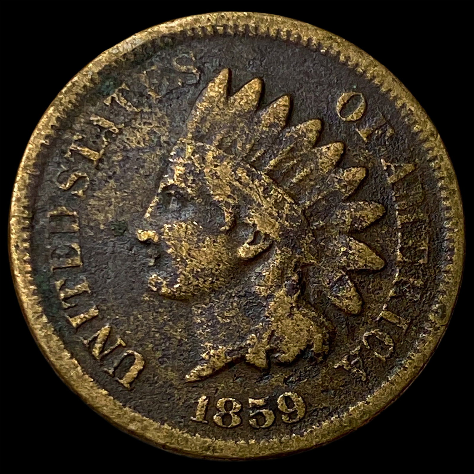 1859 Indian Head Cent LIGHTLY CIRCULATED: 1859 Indian Head Cent LIGHTLY CIRCULATED