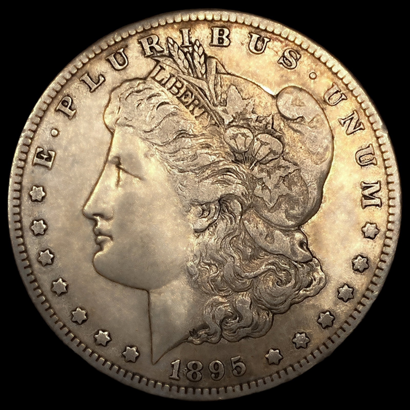 1895-S Morgan Silver Dollar (1 of 2)