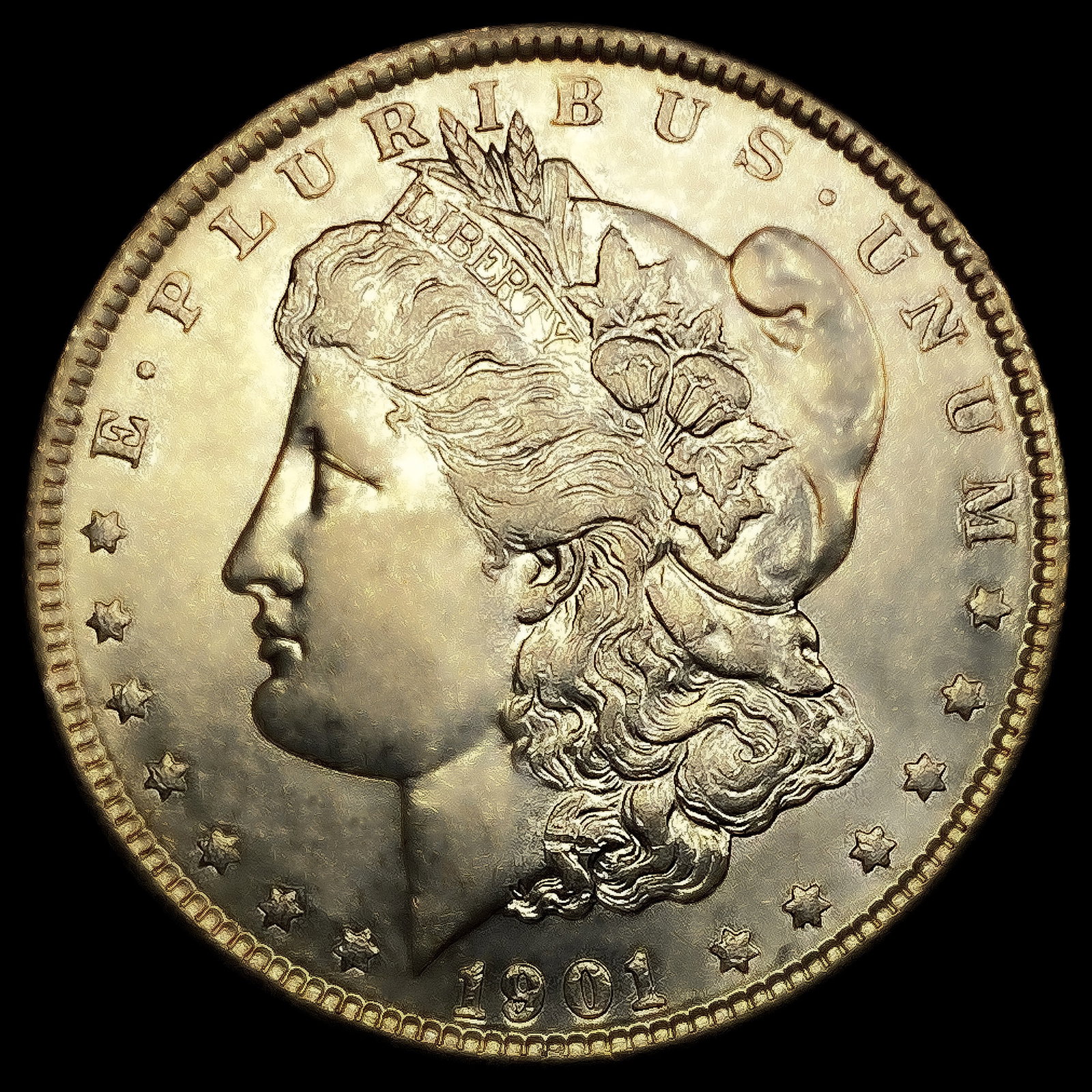 1901 Morgan Silver Dollar (1 of 2)