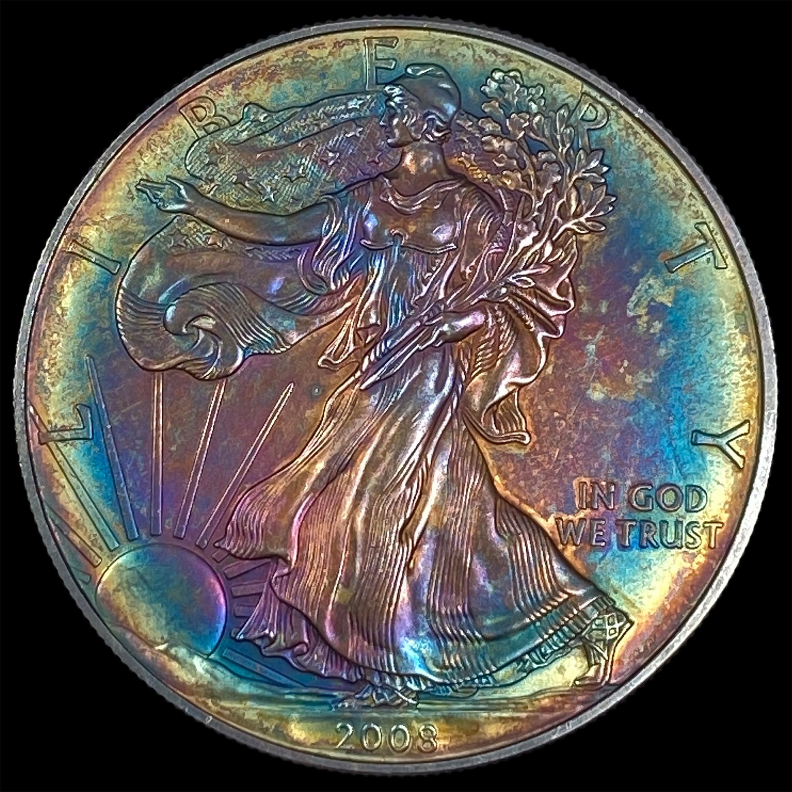 2008 Silver Eagle: 2008 Silver Eagle