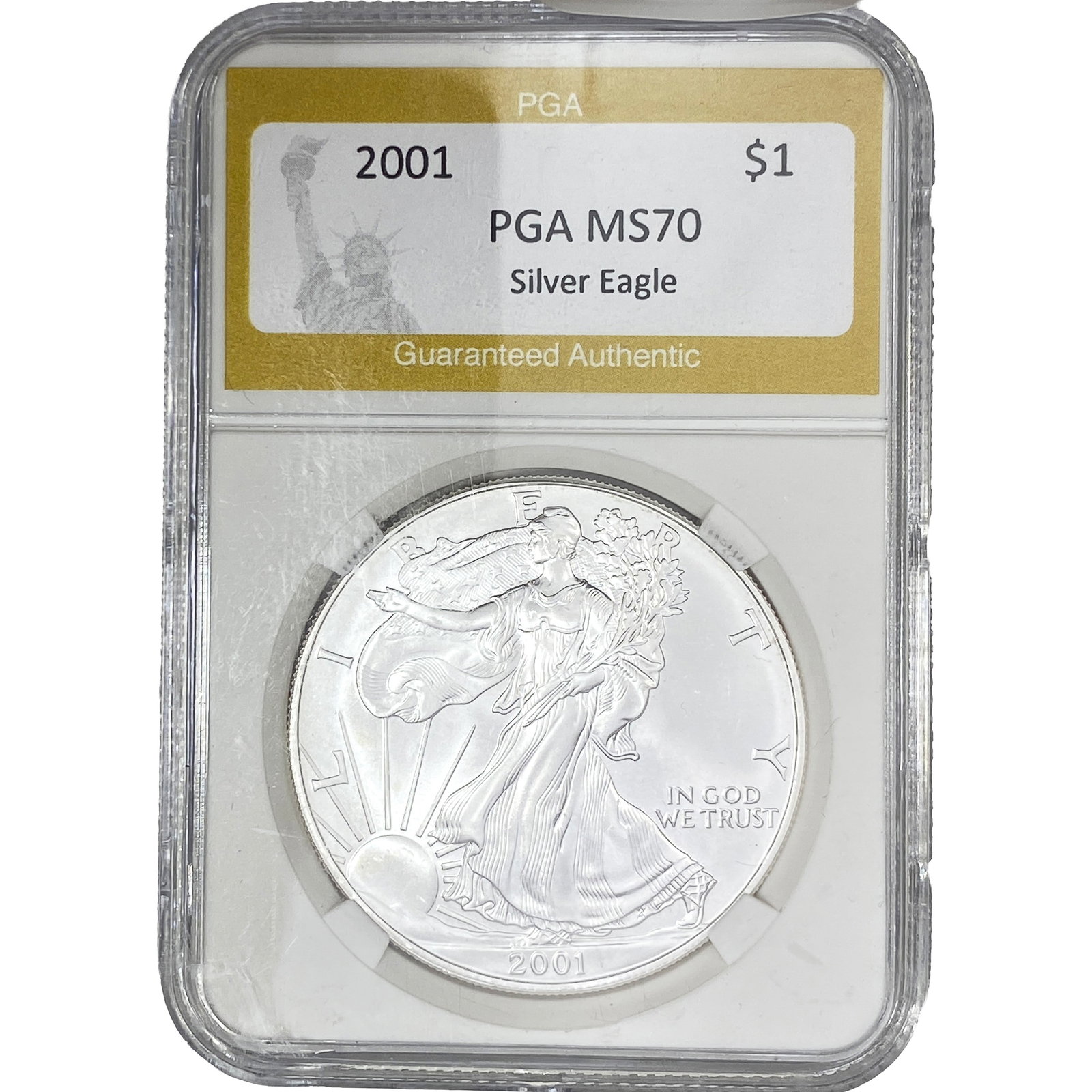 2001 Silver Eagle (1 of 2)