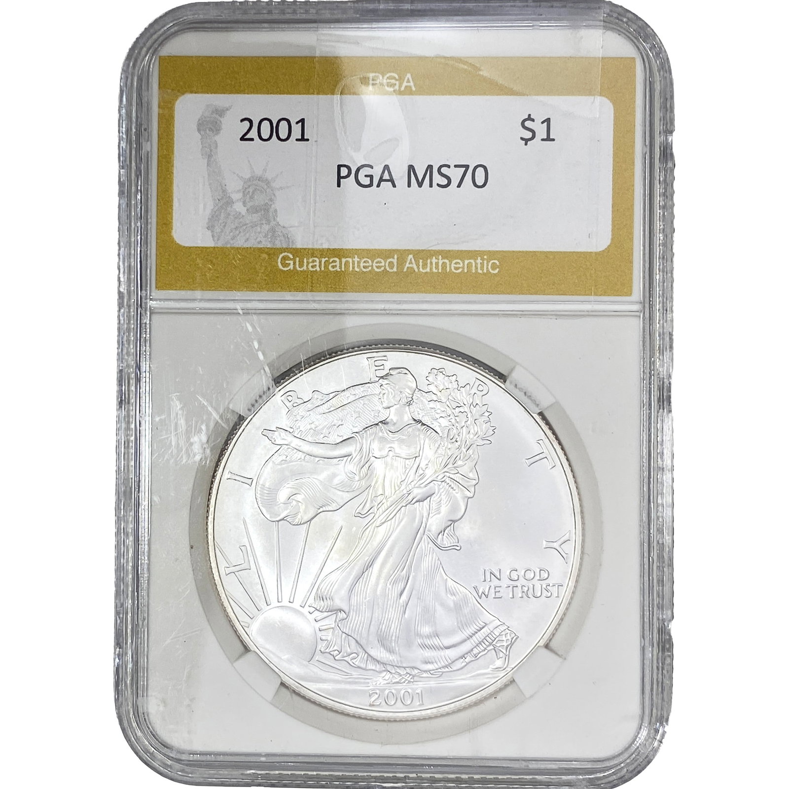 2001 Silver Eagle (1 of 2)