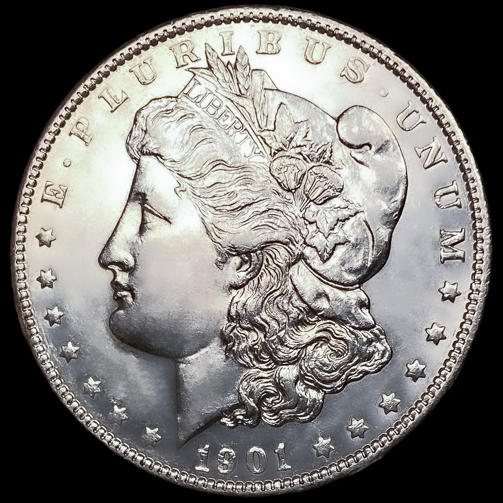1901 Morgan Silver Dollar (1 of 2)