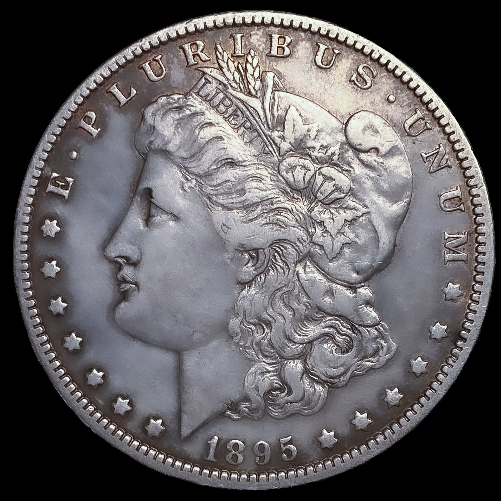 1895-O Morgan Silver Dollar (1 of 2)