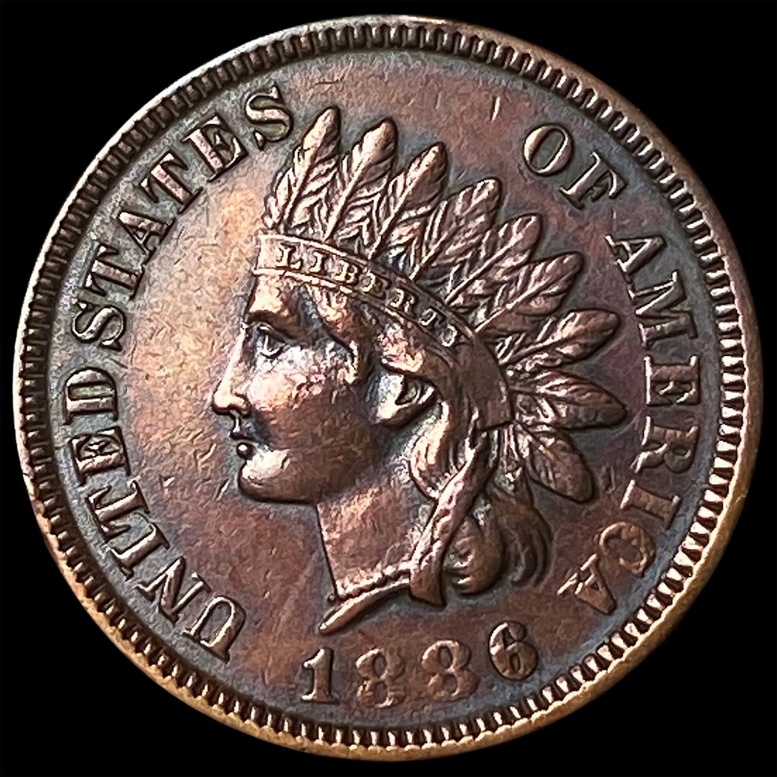 1886 Indian Head Cent NEARLY UNCIRCULATED (1 of 2)