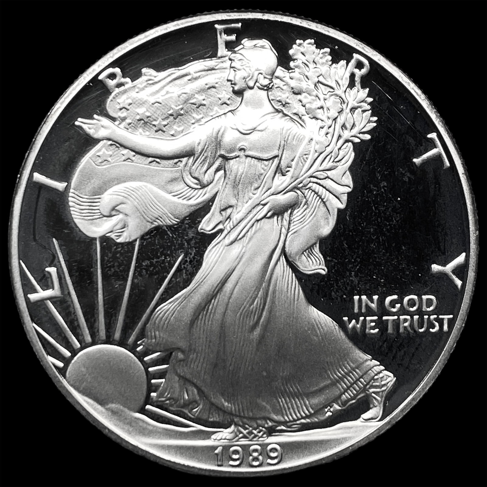 1989-S Silver American Eagle Proof $1 GEM PROOF (1 of 2)