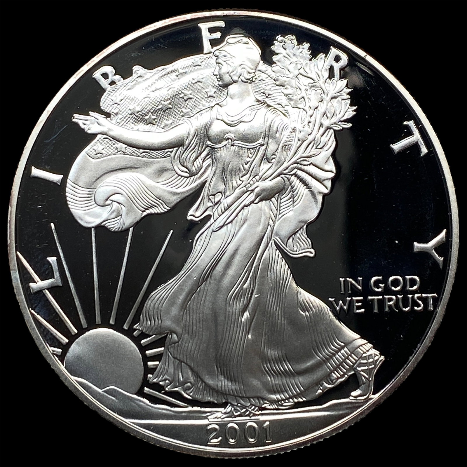 2001-W Silver American Eagle Proof $1 GEM PROOF (1 of 2)