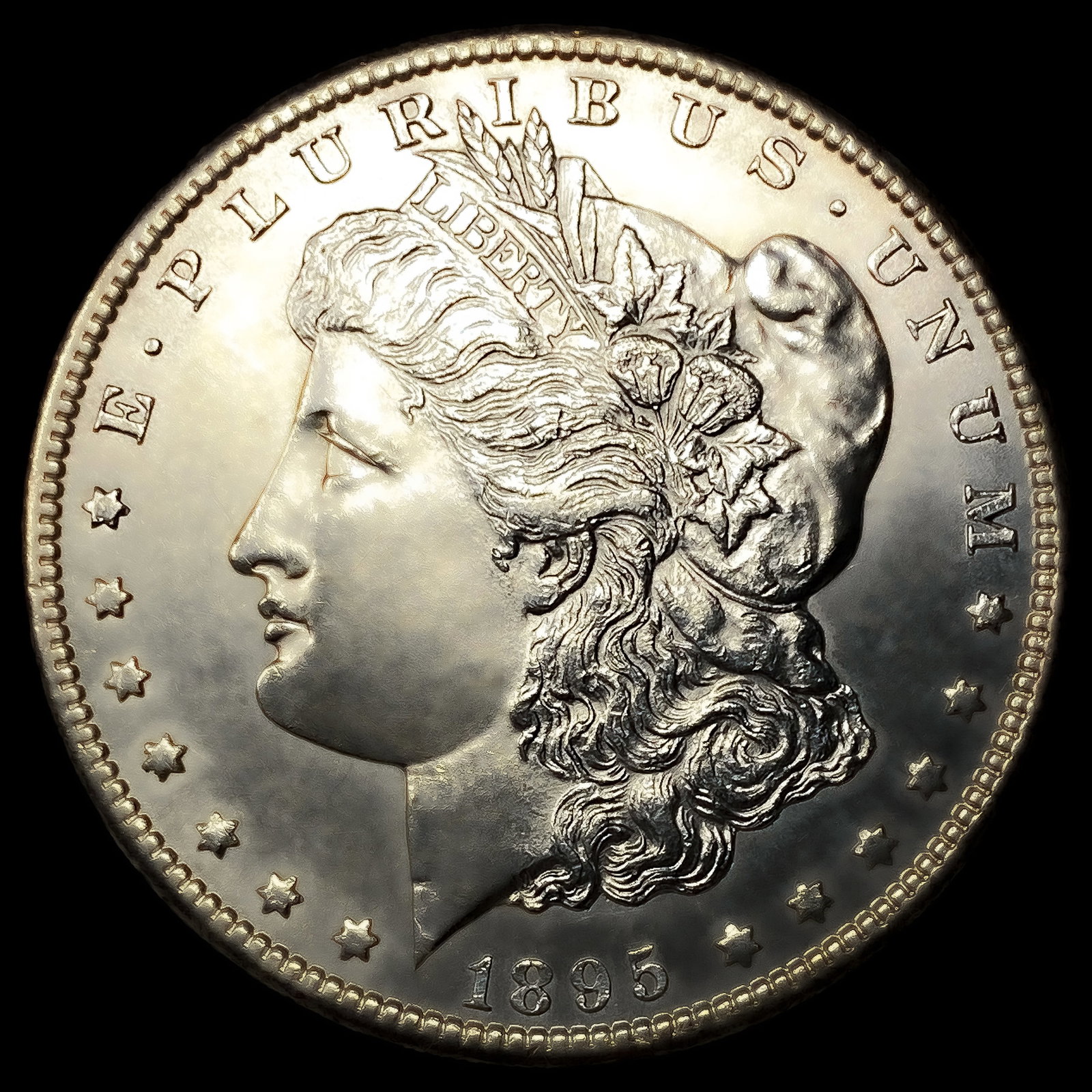 1895-S Morgan Silver Dollar (1 of 2)