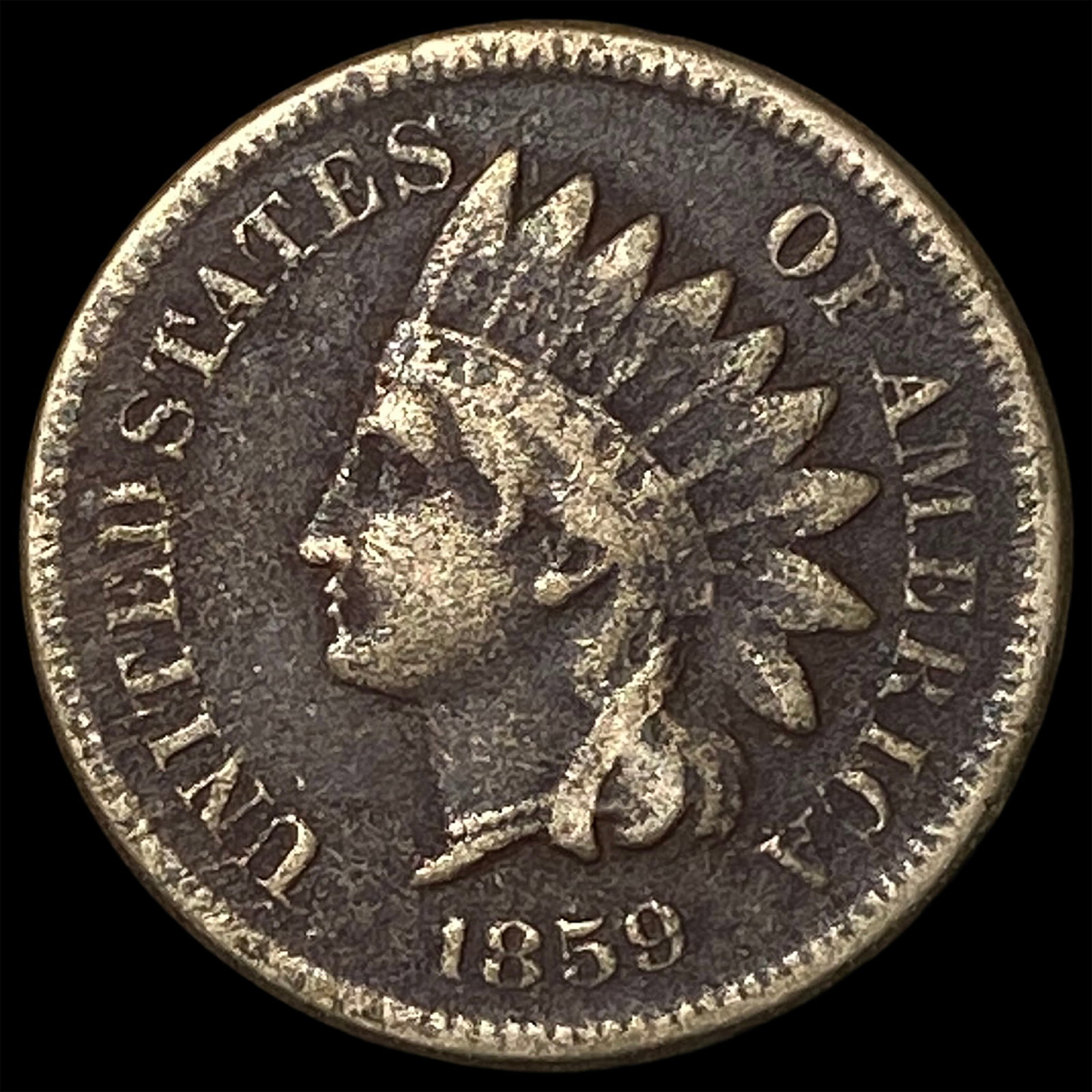 1859 Indian Head Cent NICELY CIRCULATED: 1859 Indian Head Cent NICELY CIRCULATED