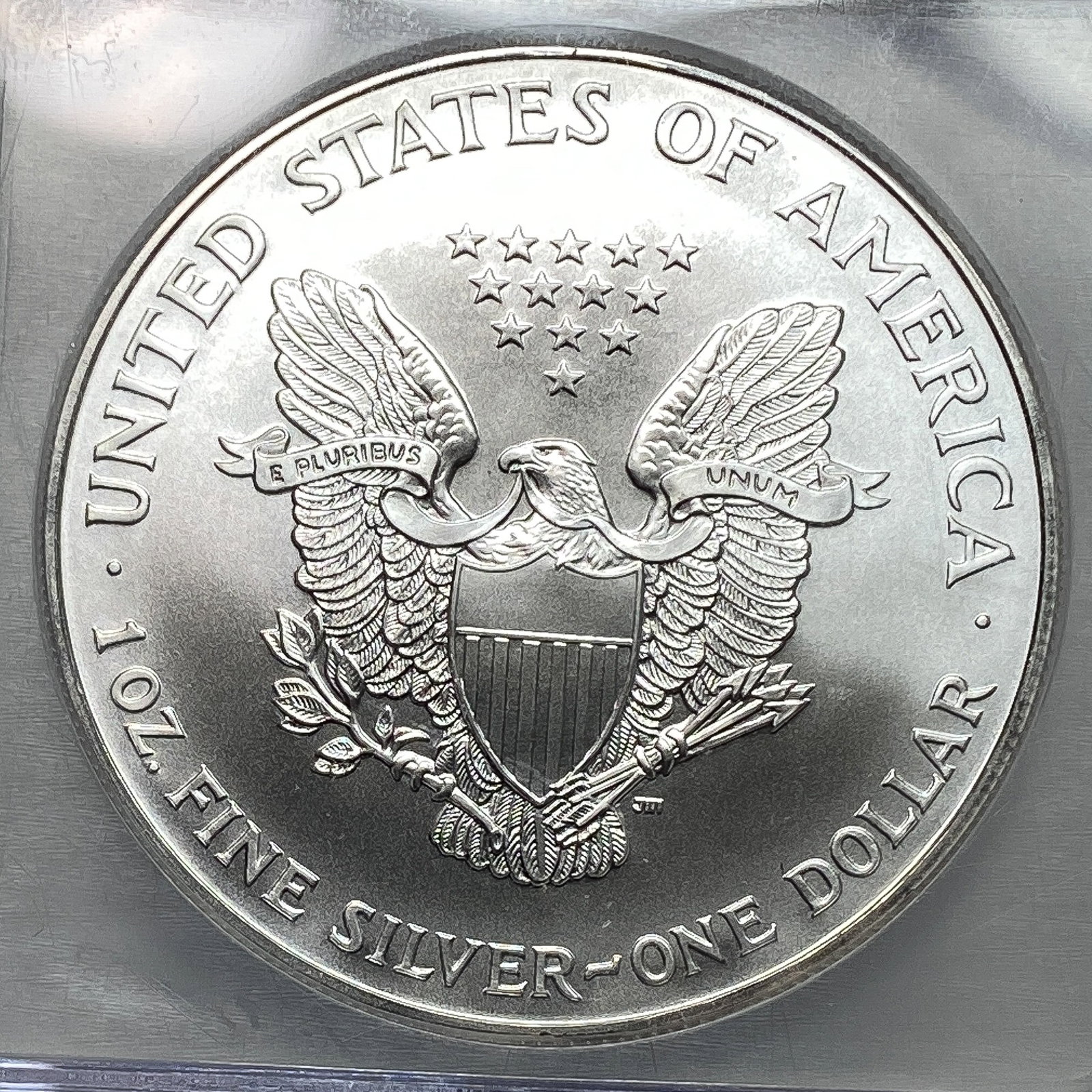 1999 Silver Eagle ICG MS70 - 4