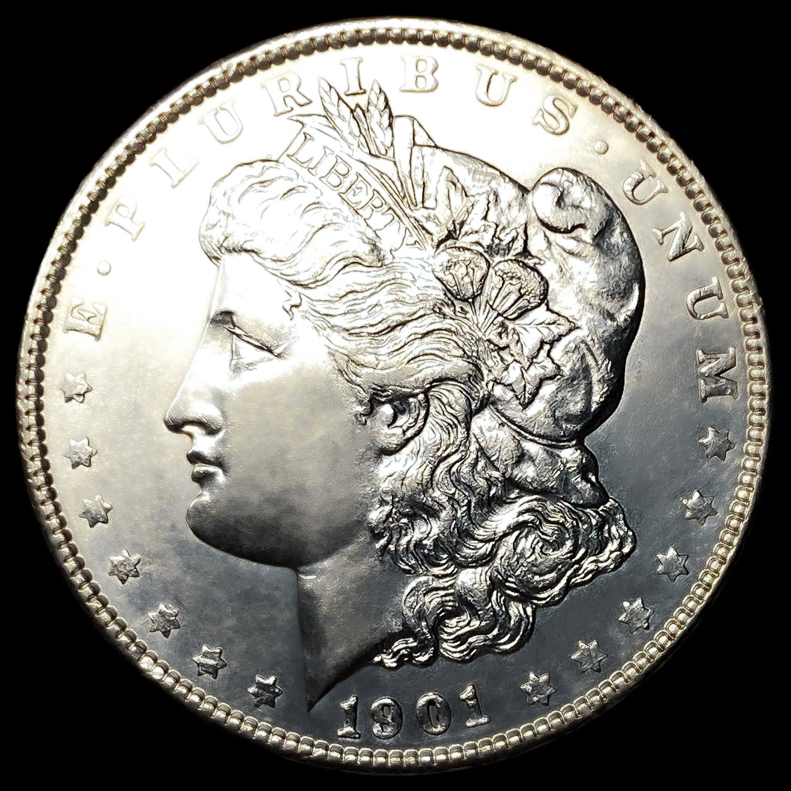 1901 Morgan Silver Dollar (1 of 2)