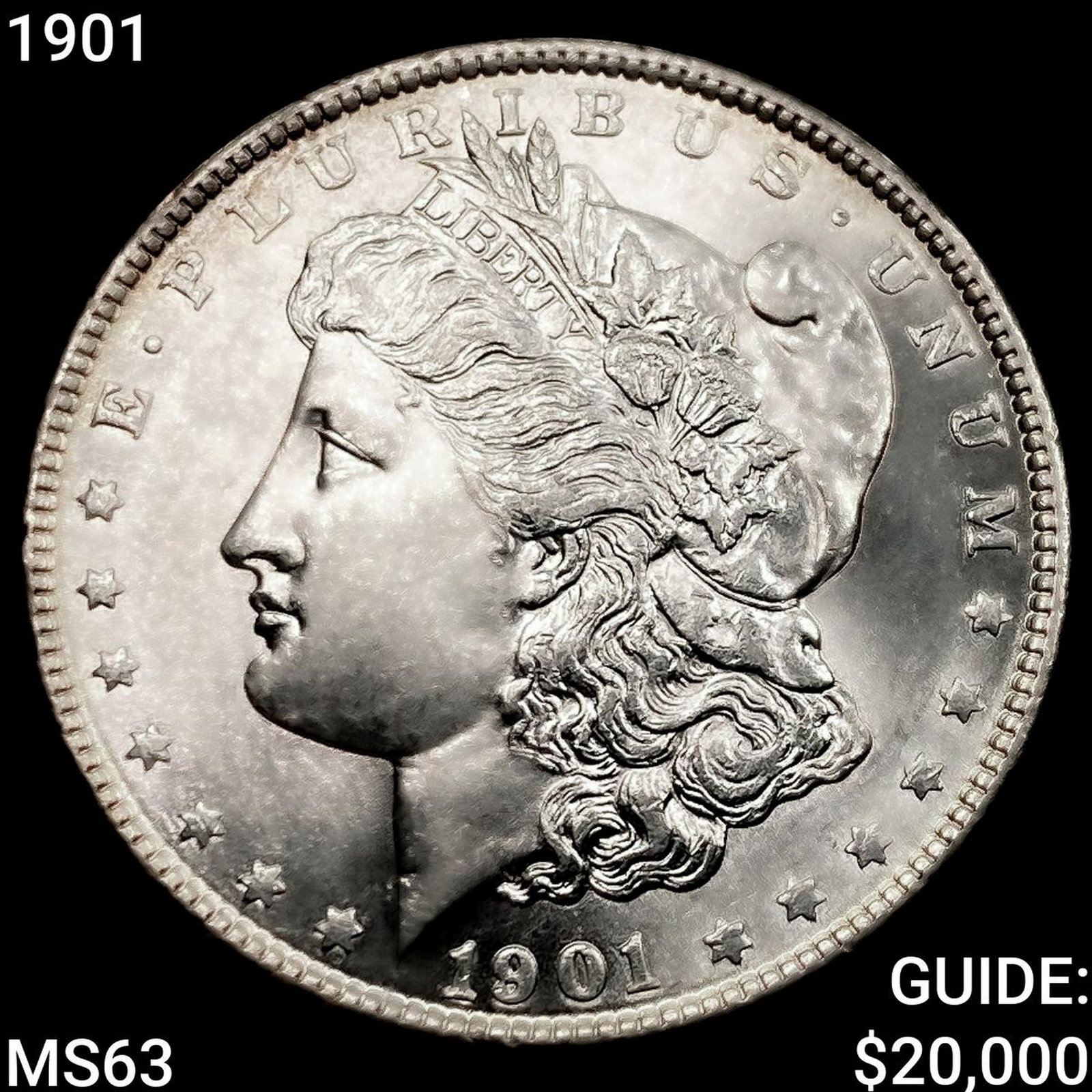 1901 Morgan Silver Dollar CHOICE BU: 1901 Morgan Silver Dollar CHOICE BU