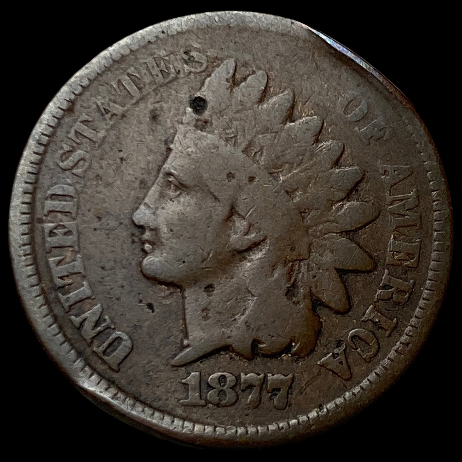 1877 Indian Head Cent NICELY CIRCULATED (1 of 2)