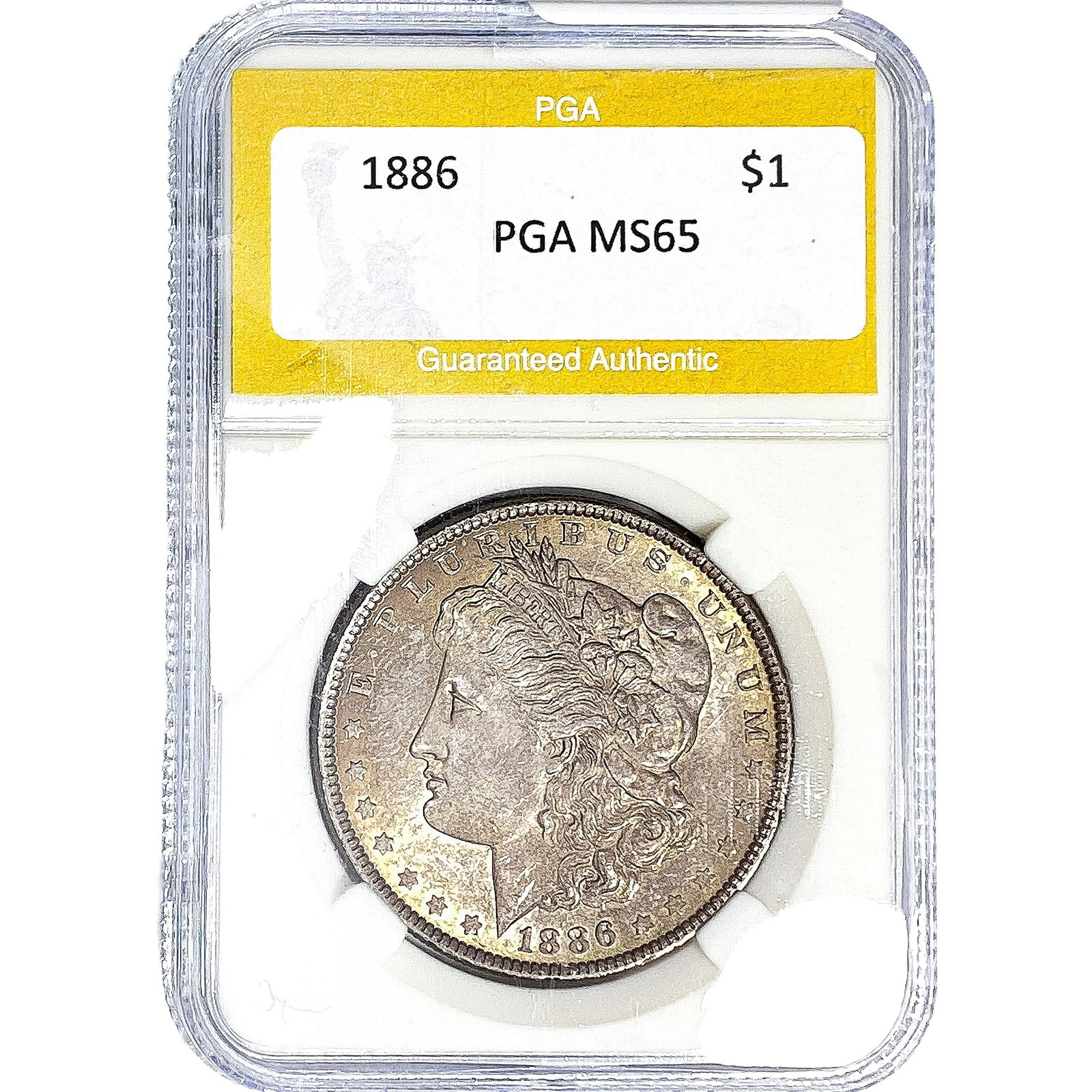 1886 Morgan Silver Dollar PGA MS65: 1886 Morgan Silver Dollar PGA MS65