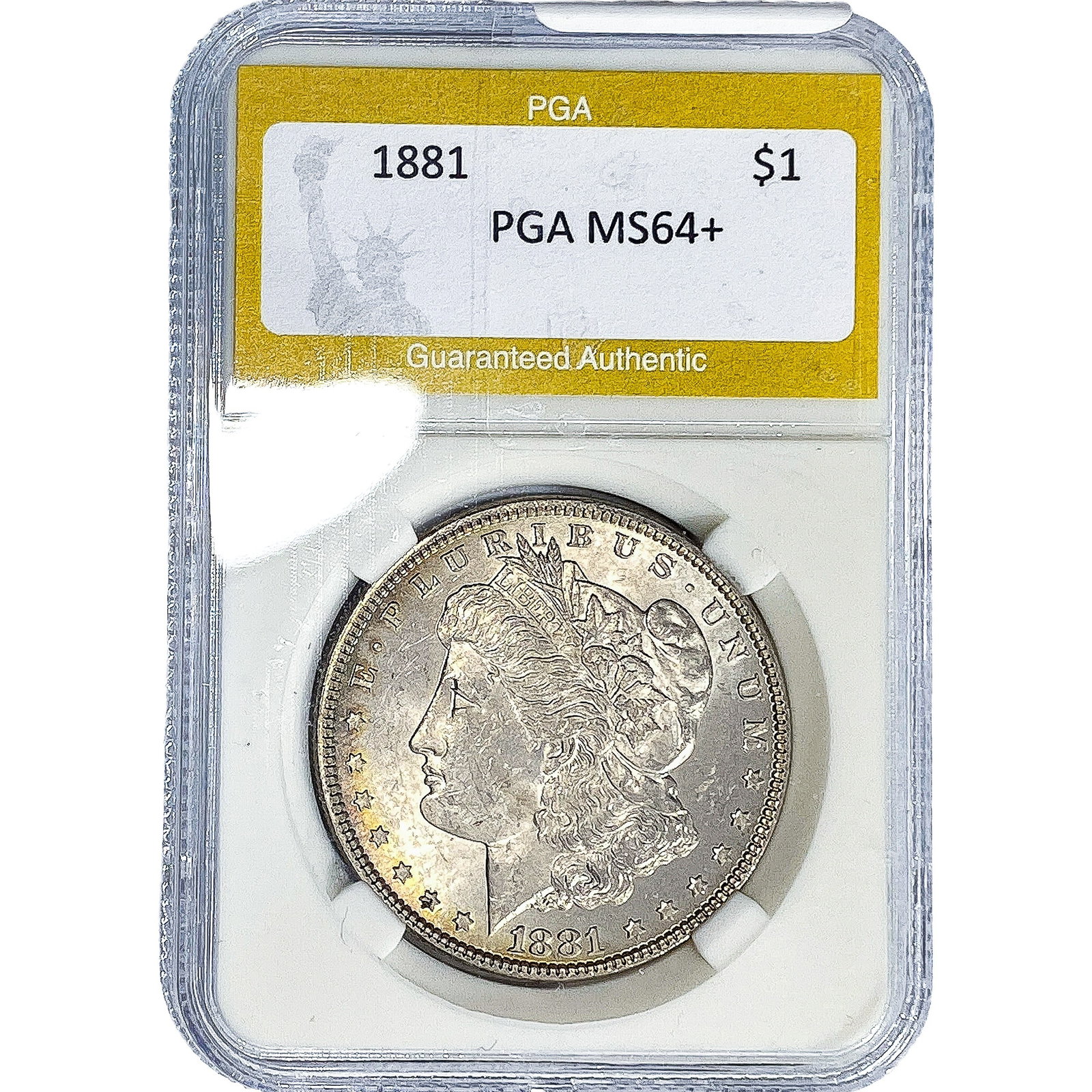 1881 Morgan Silver Dollar PGA MS64+ (1 of 2)