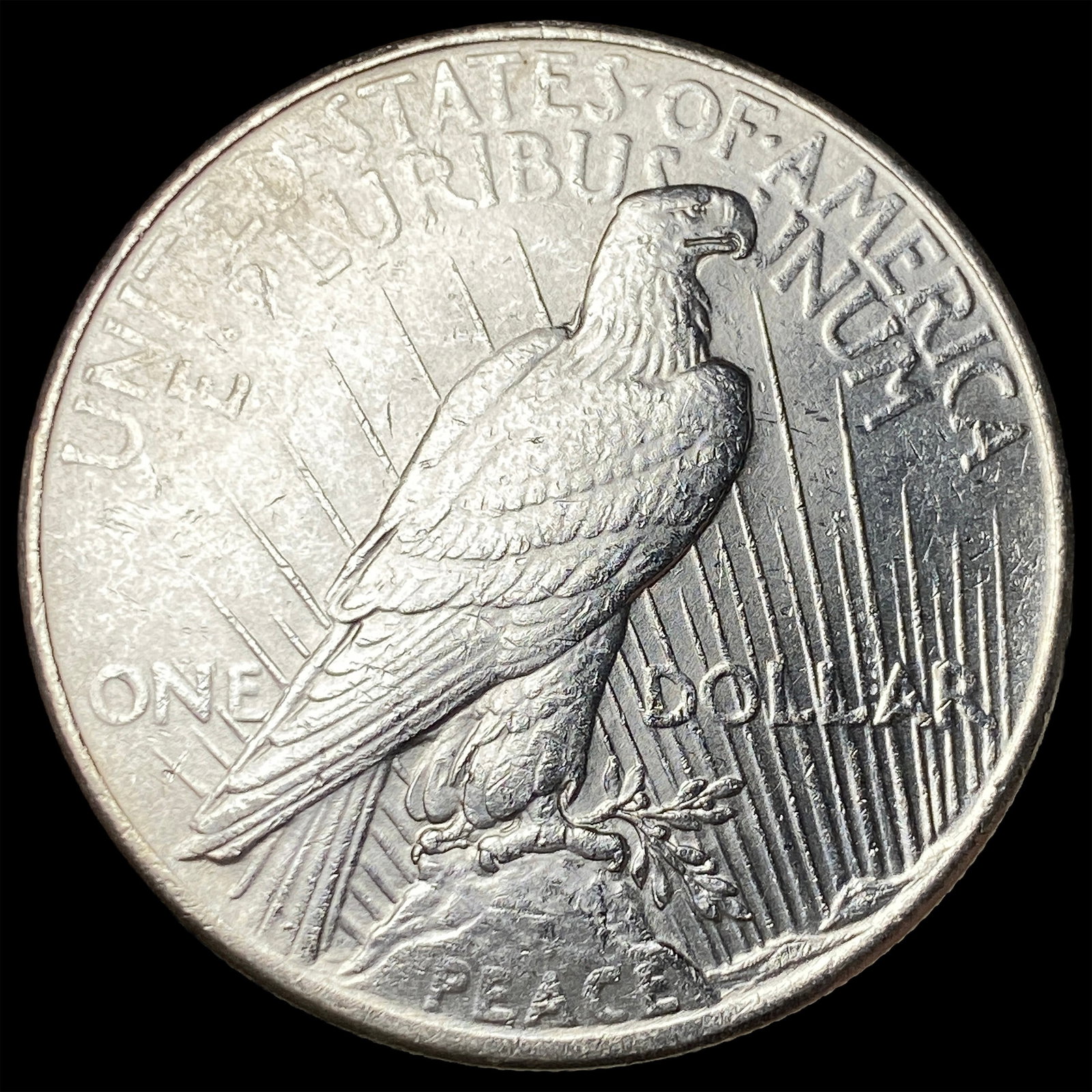 1925 Silver Peace Dollar CLOSELY UNCIRCULATED - 2