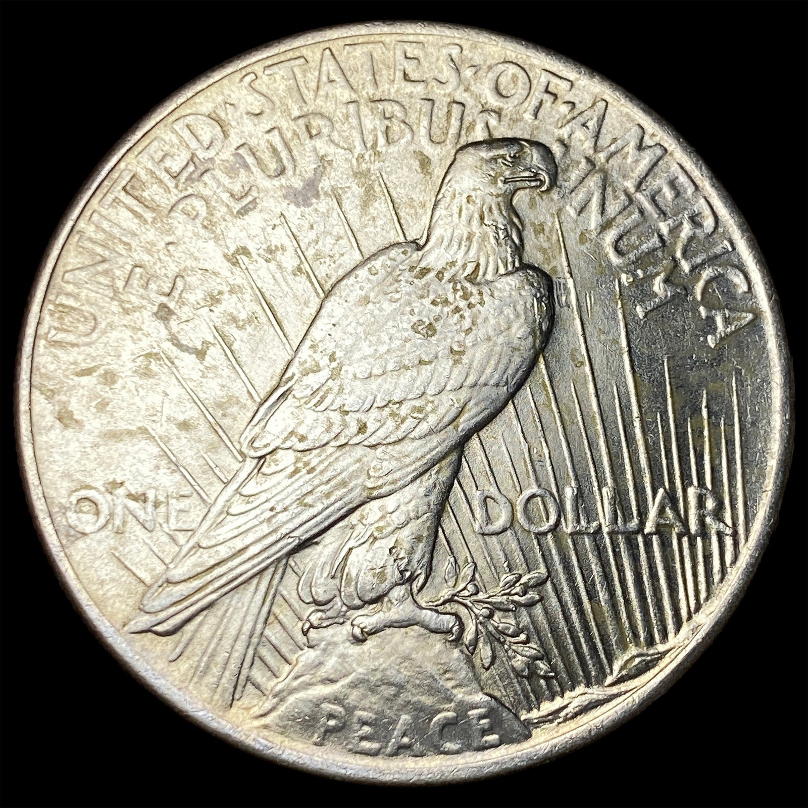 1925 Peace Silver Dollar UNCIRCULATED - 2