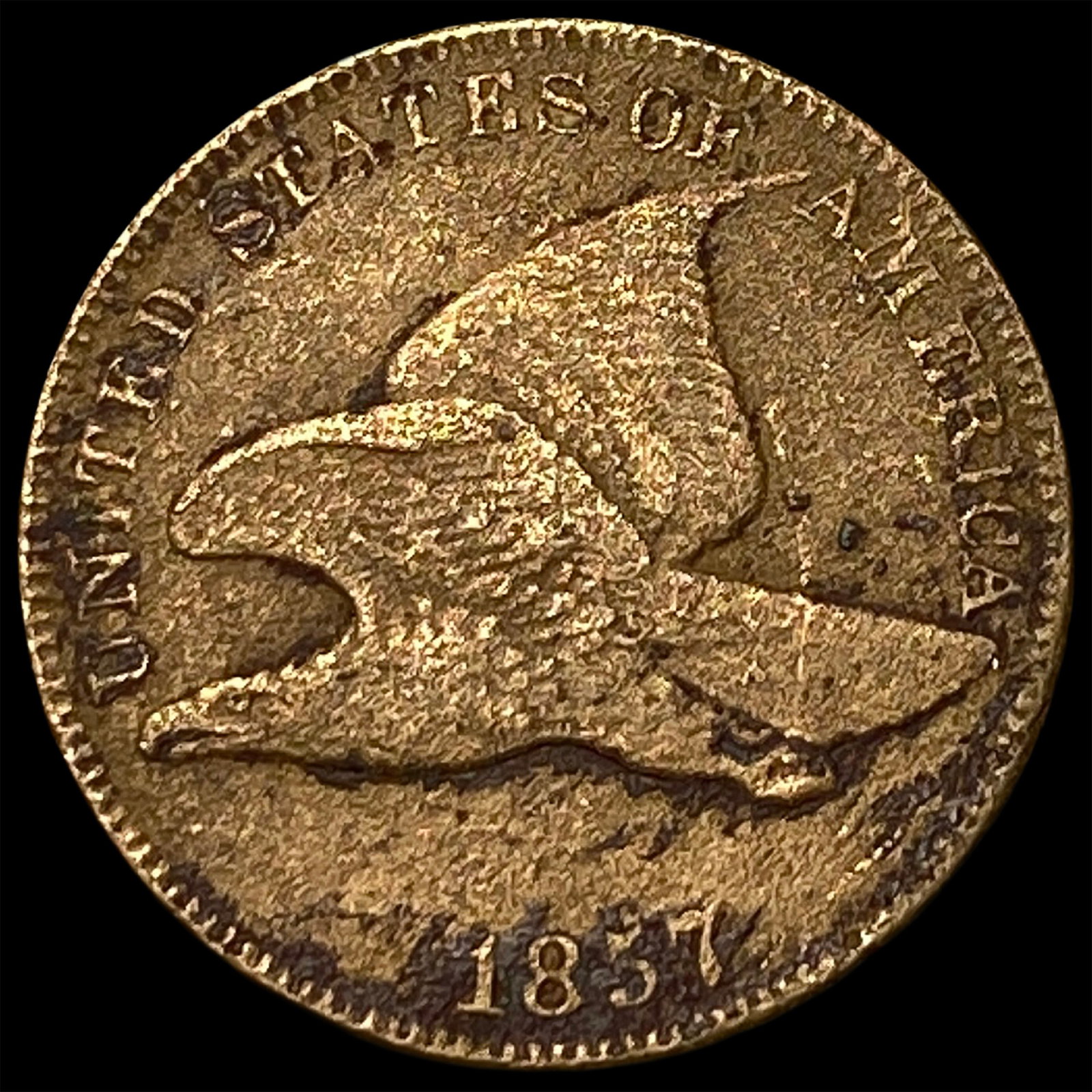 1857 Flying Eagle Cent NEARLY UNCIRCULATED: 1857 Flying Eagle Cent NEARLY UNCIRCULATED