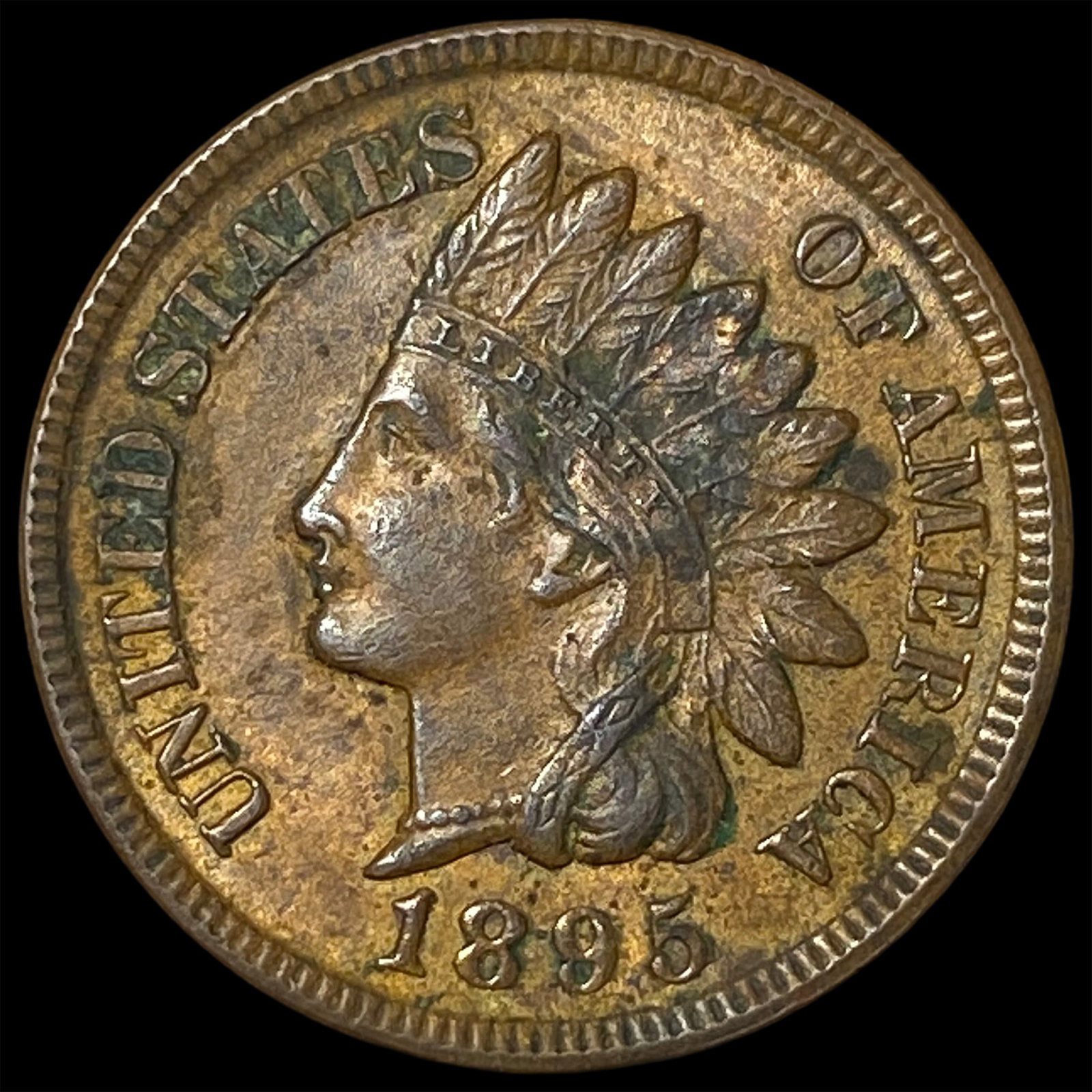 1895 Indian Head Cent NEARLY UNCIRCULATED (1 of 2)