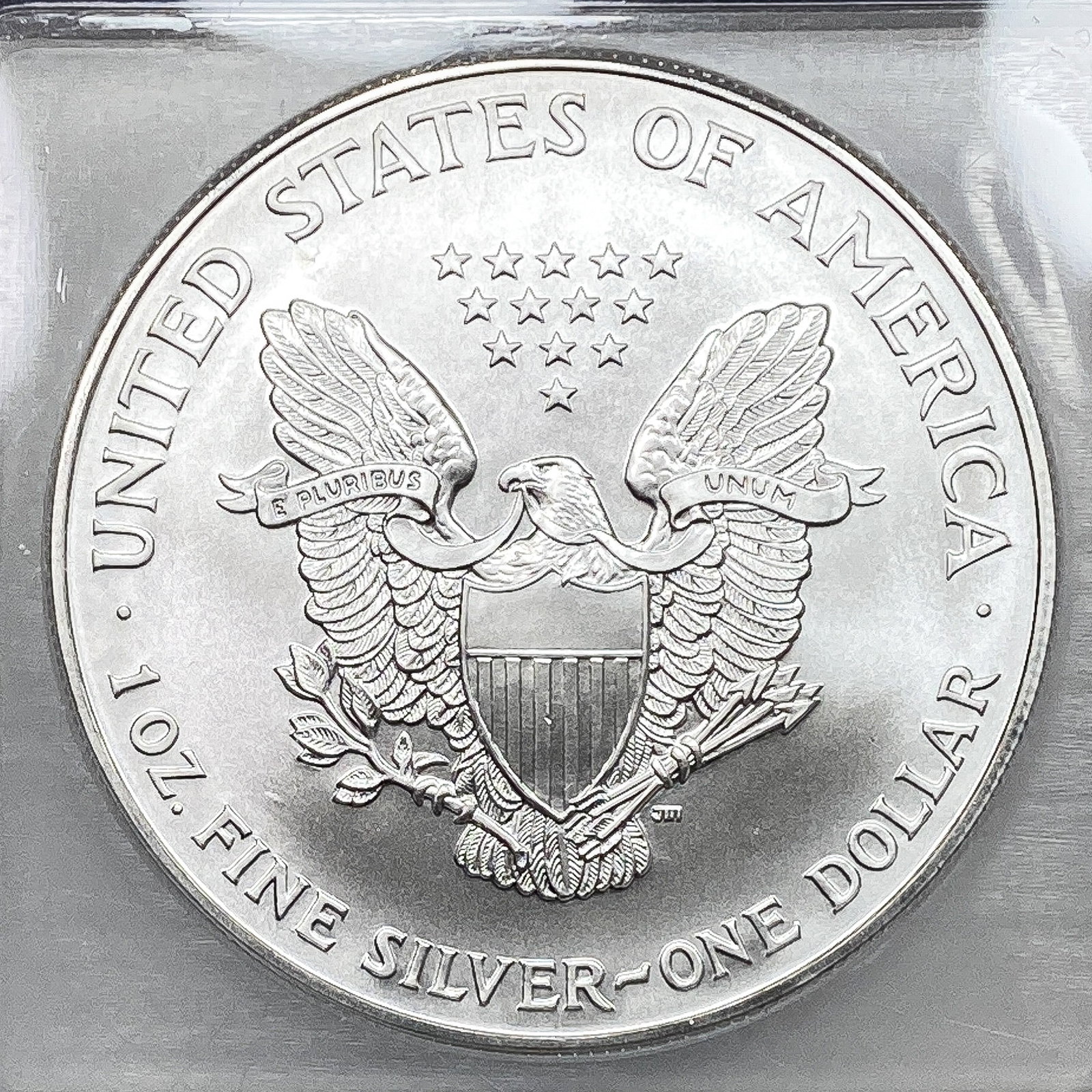 1999 Silver Eagle ICG MS70 - 4