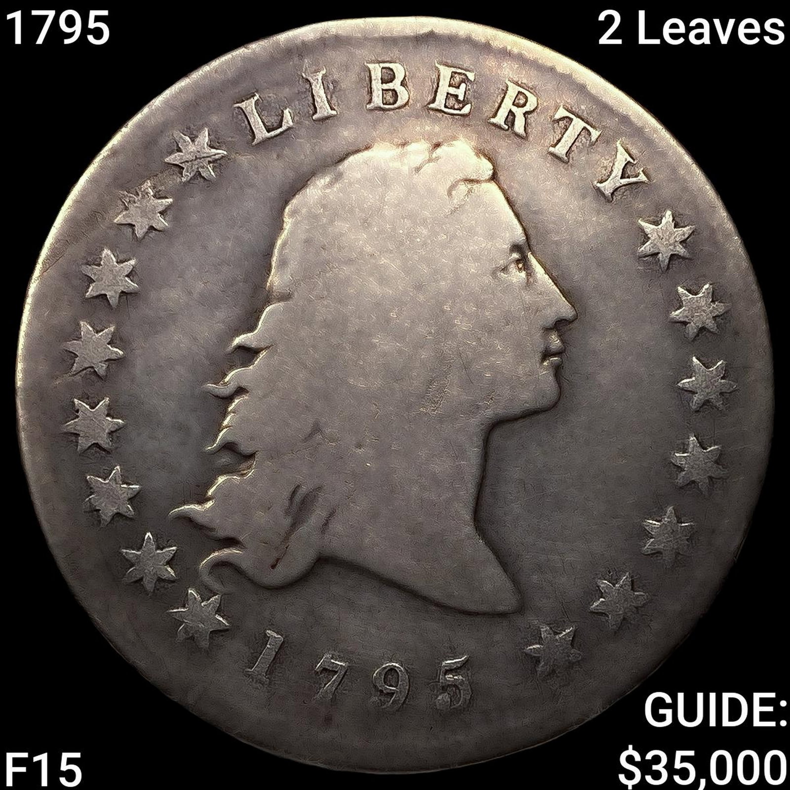 1795 2 Leaves Flowing Hair Dollar NICELY CIRCULATED (1 of 2)