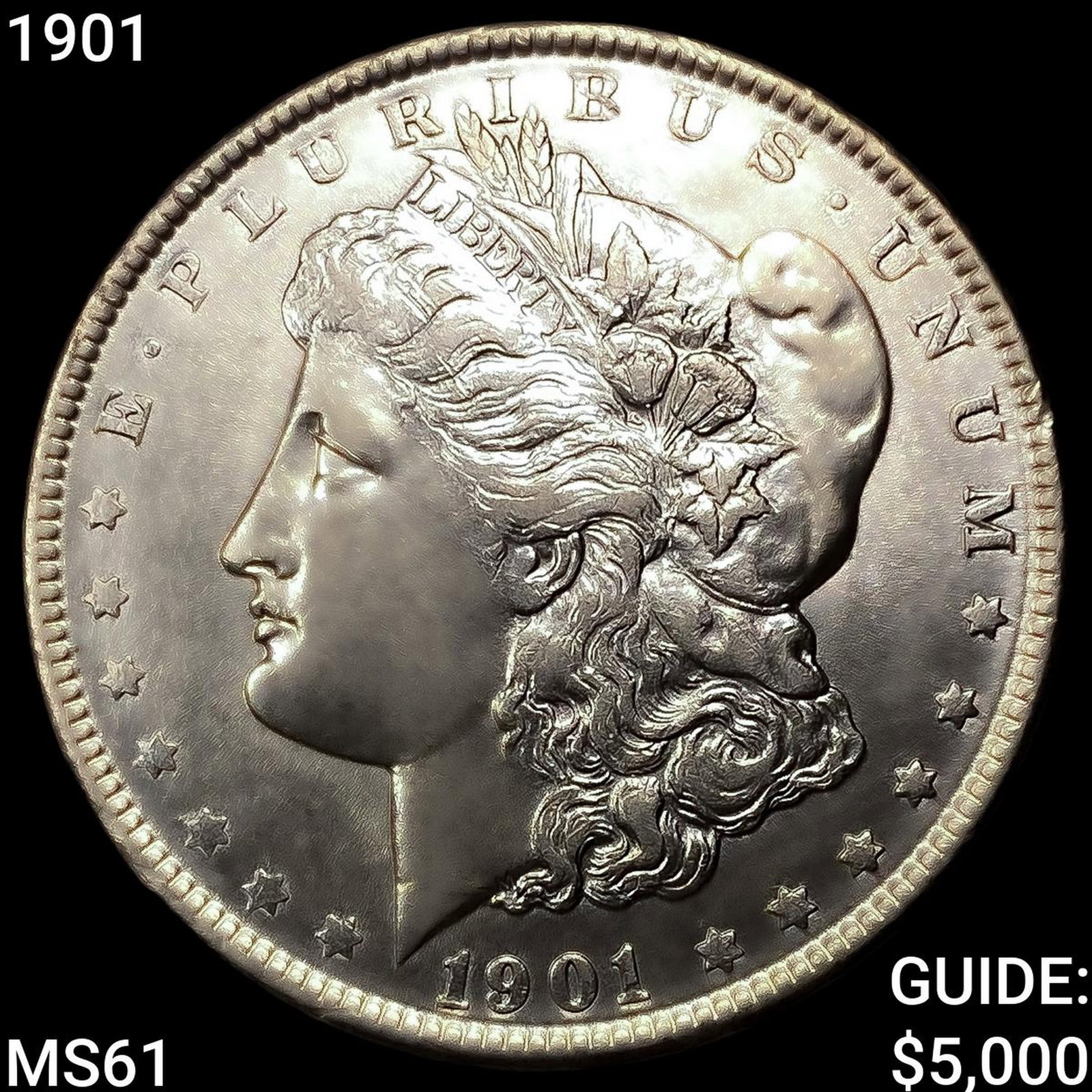1901 Morgan Silver Dollar UNCIRCULATED: 1901 Morgan Silver Dollar UNCIRCULATED
