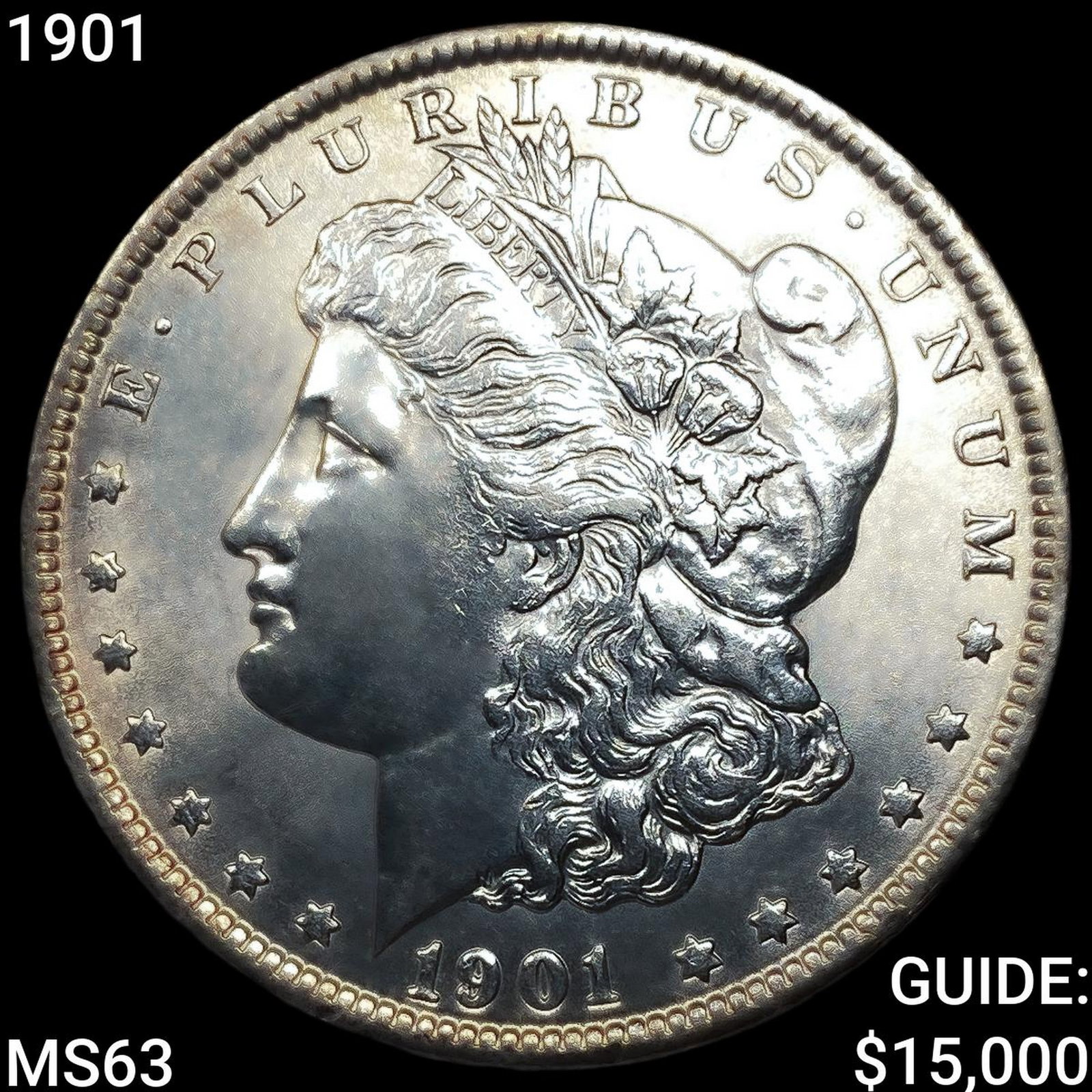 1901 Morgan Silver Dollar CHOICE BU: 1901 Morgan Silver Dollar CHOICE BU