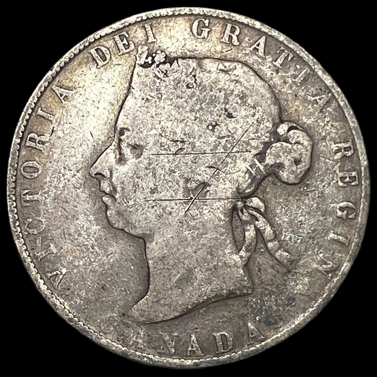 1901 Canada Silver 50 Cents NICELY CIRCULATED: 1901 Canada Silver 50 Cents NICELY CIRCULATED