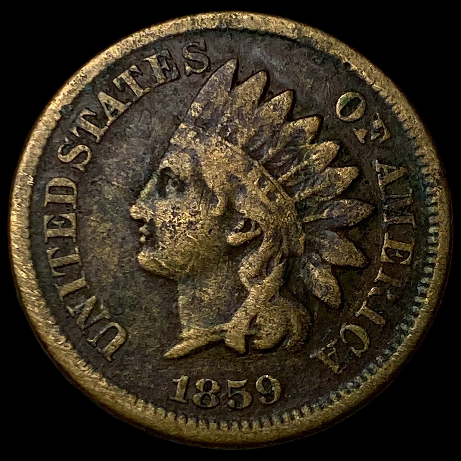 1859 Indian Head Cent LIGHTLY CIRCULATED: 1859 Indian Head Cent LIGHTLY CIRCULATED