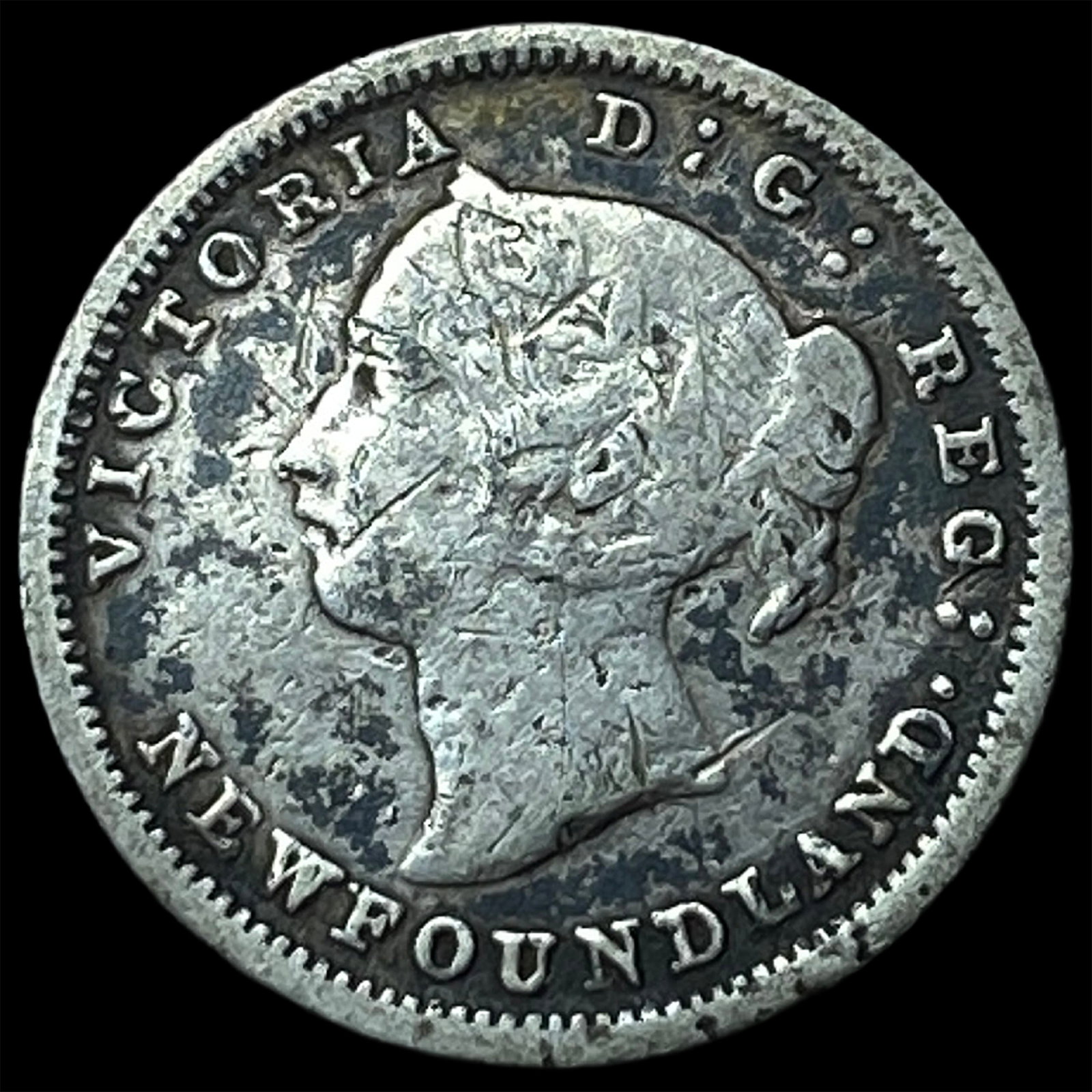 1882H Newfoundland Silver 5 Cents: 1882H Newfoundland Silver 5 Cents