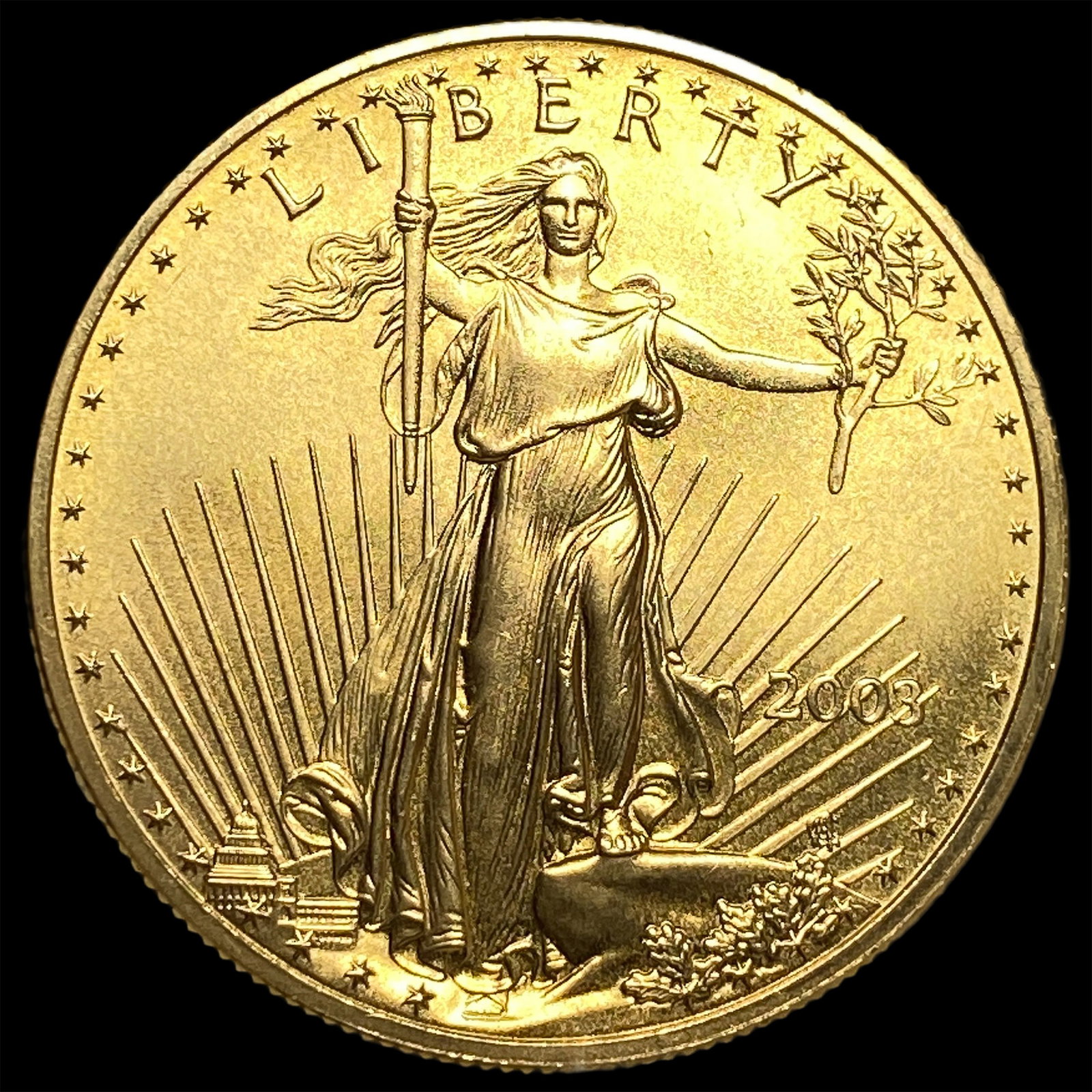 2003 1oz Gold American Eagle $50 UNCIRCULATED: 2003 1oz Gold American Eagle $50 UNCIRCULATED